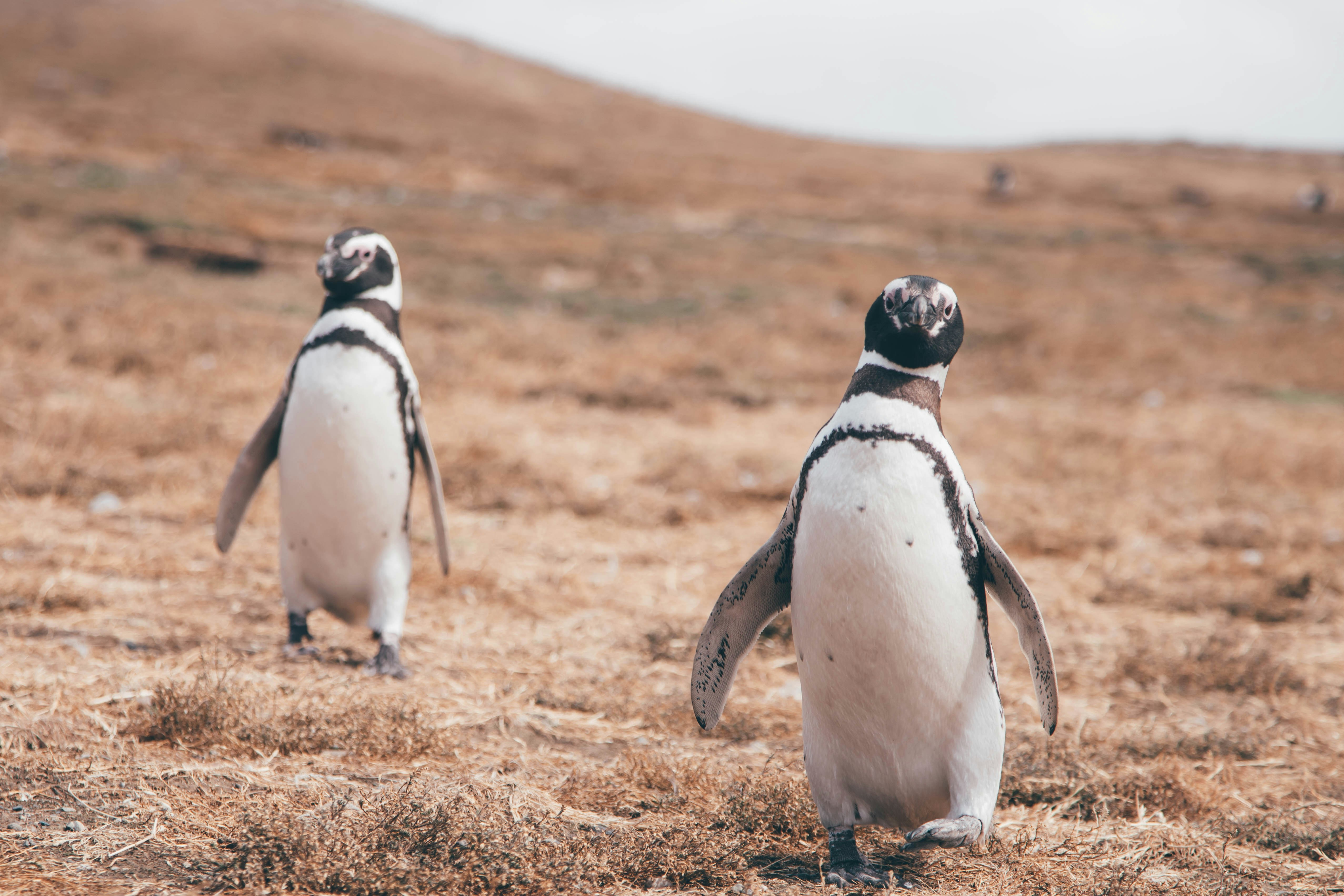 Photo by gustavo0351