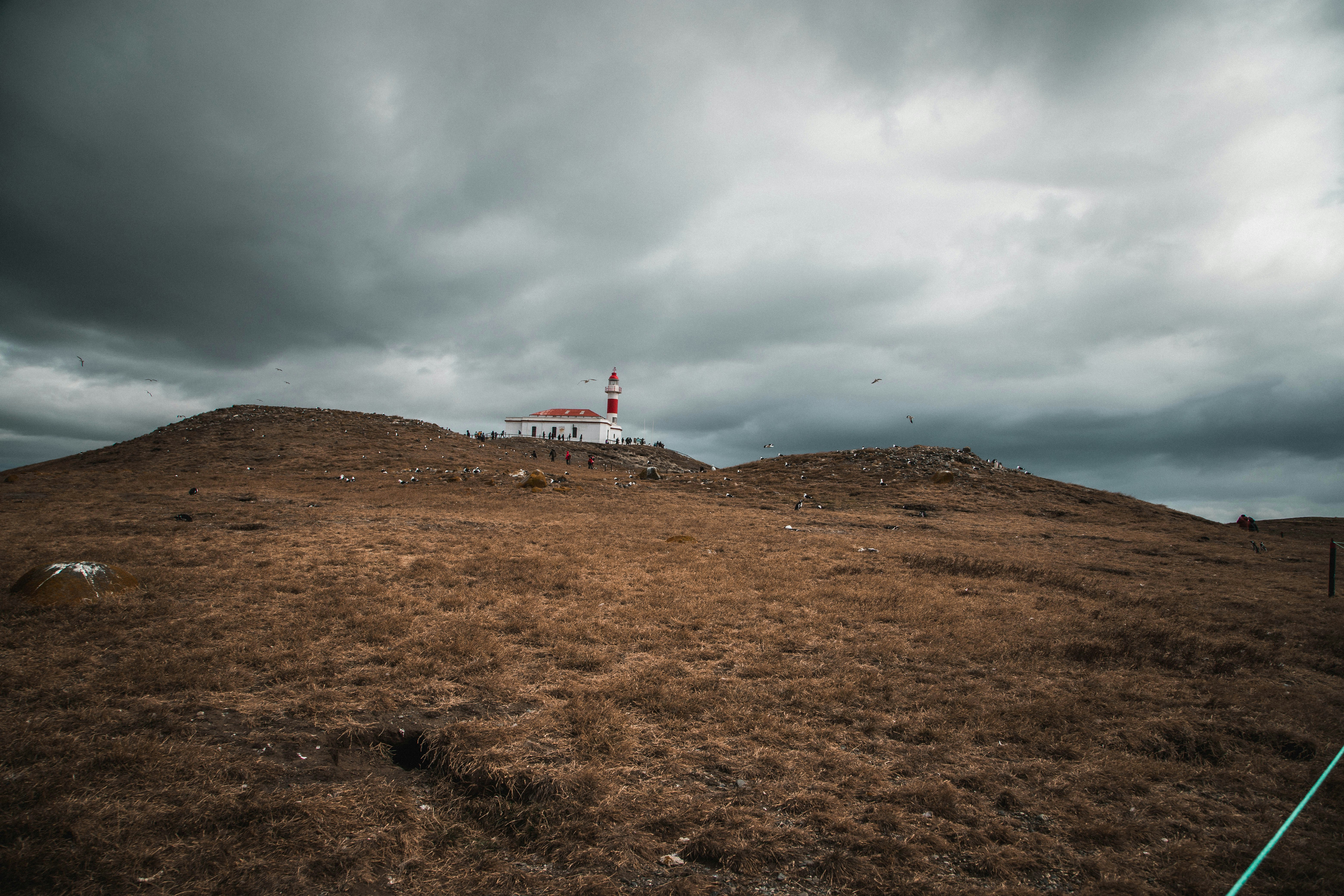 Photo by gustavo0351