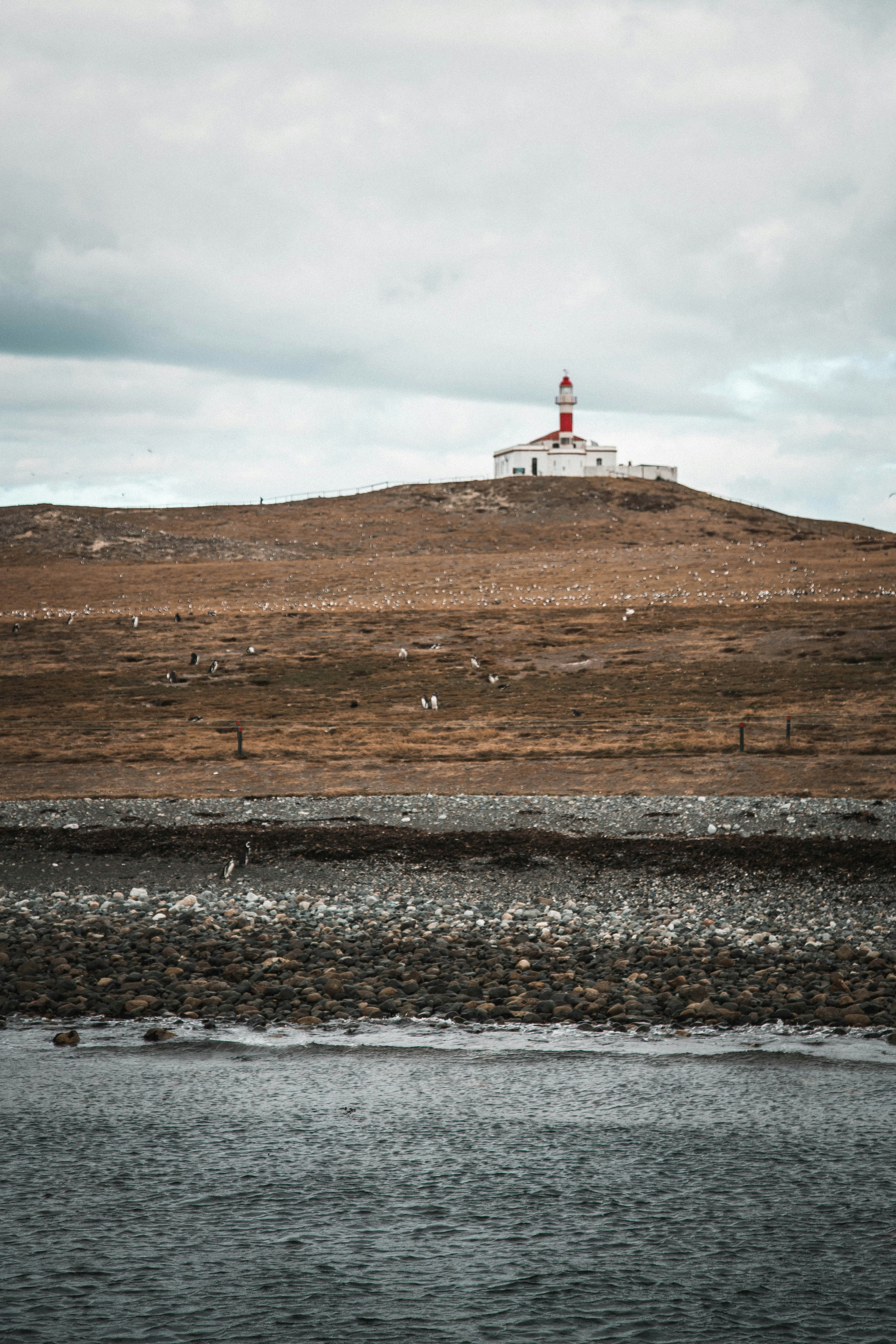 Photo by gustavo0351