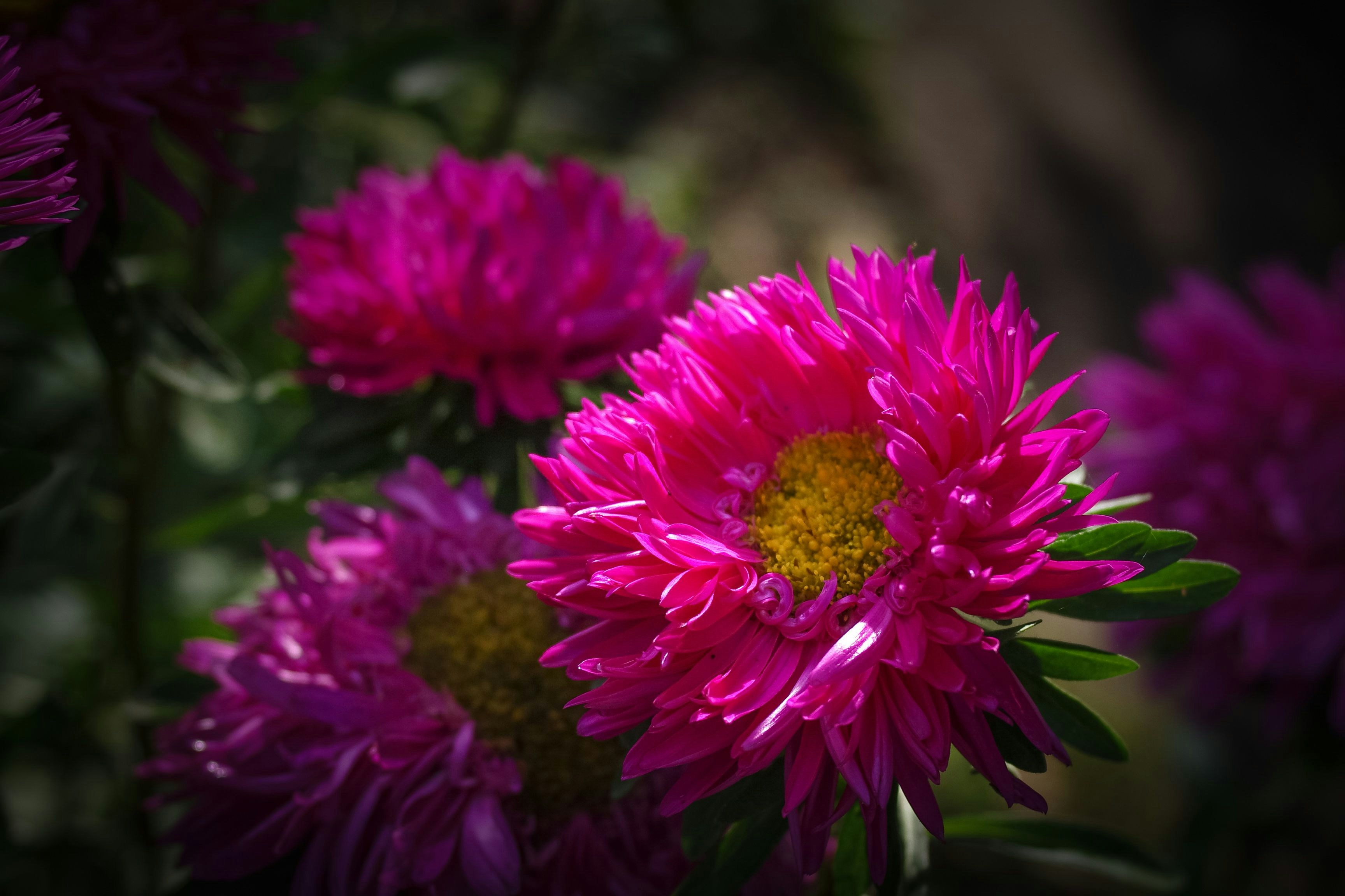 Photo by sevencolors