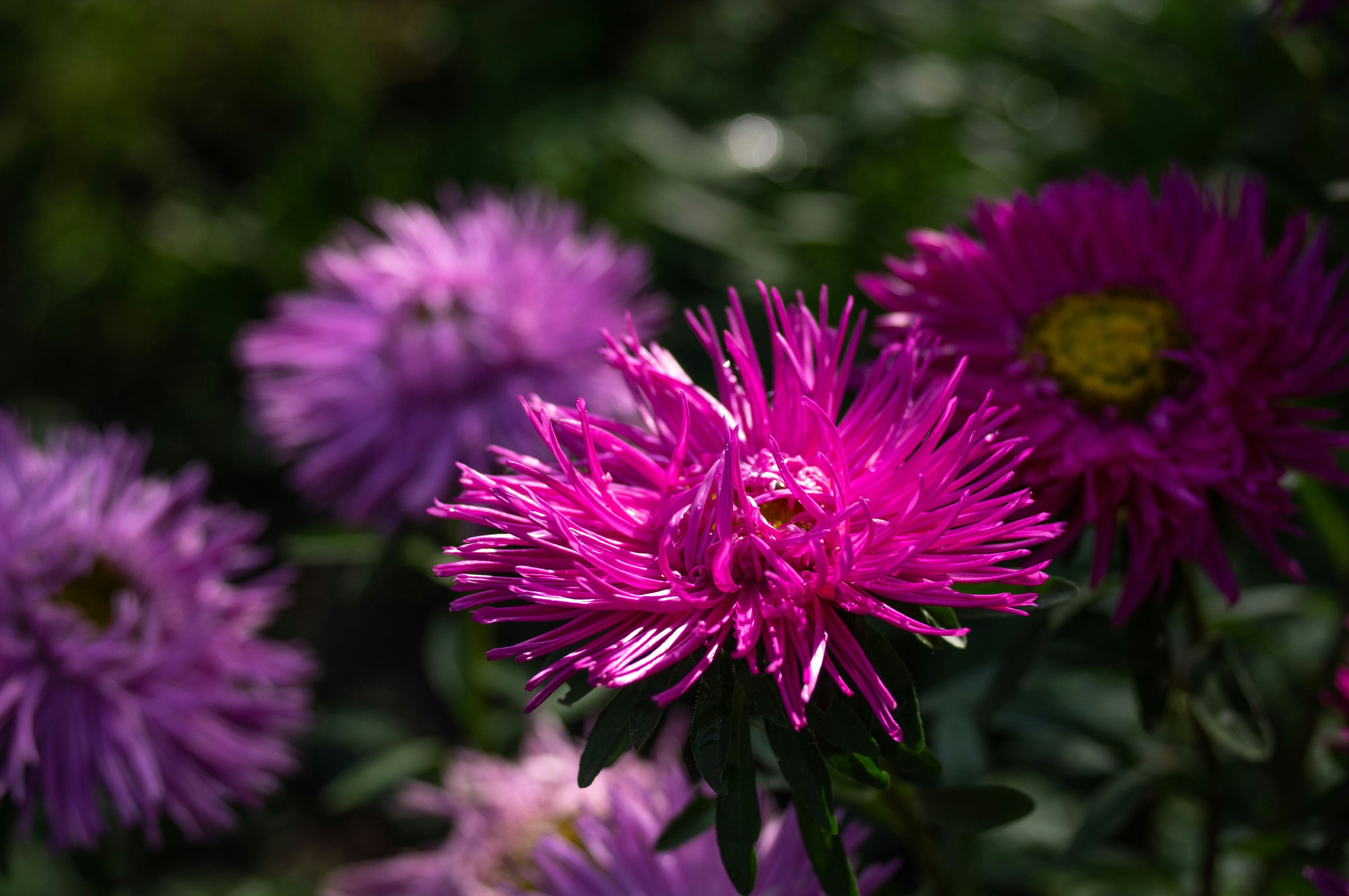 Photo by sevencolors