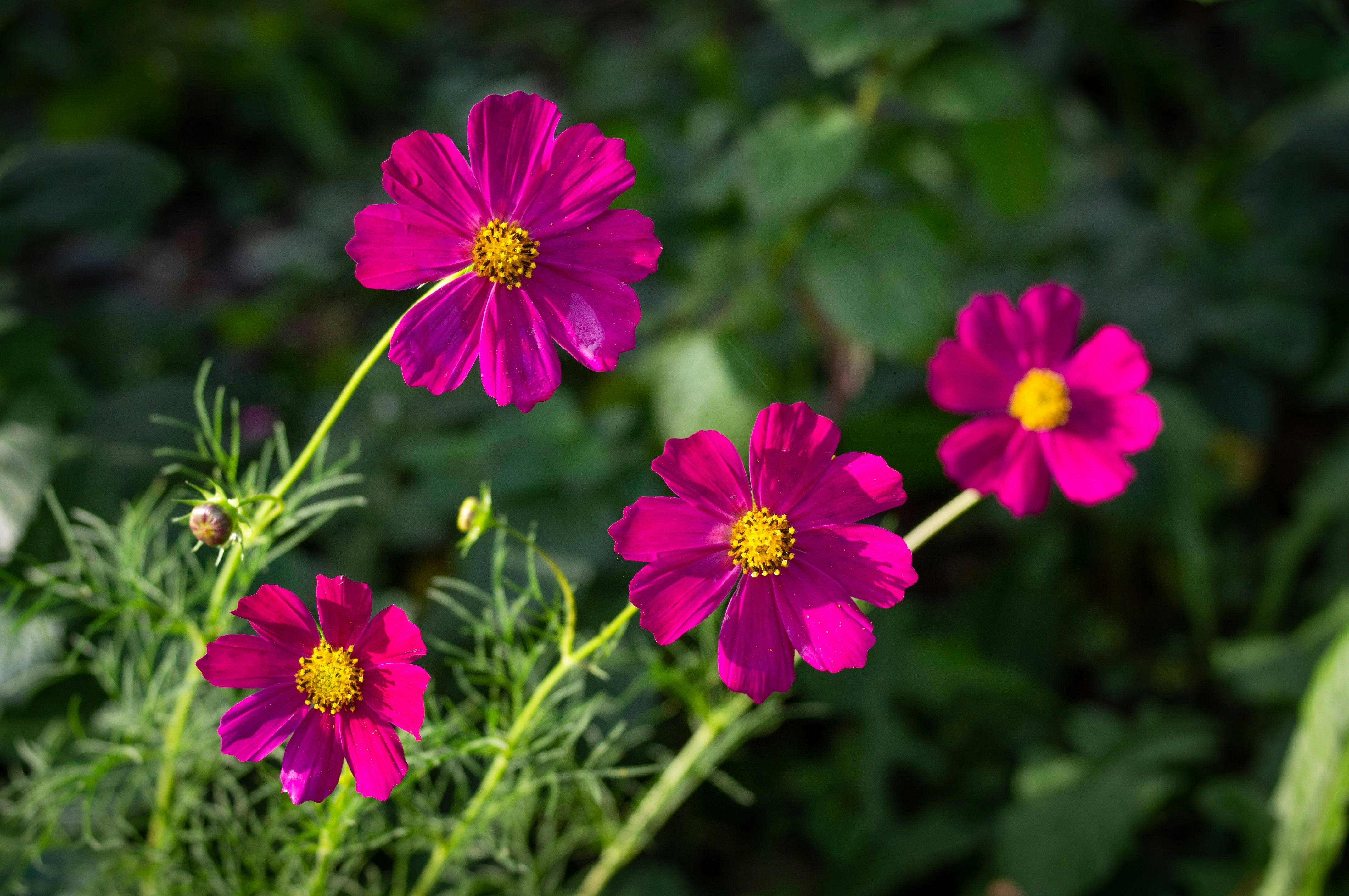 Photo by sevencolors