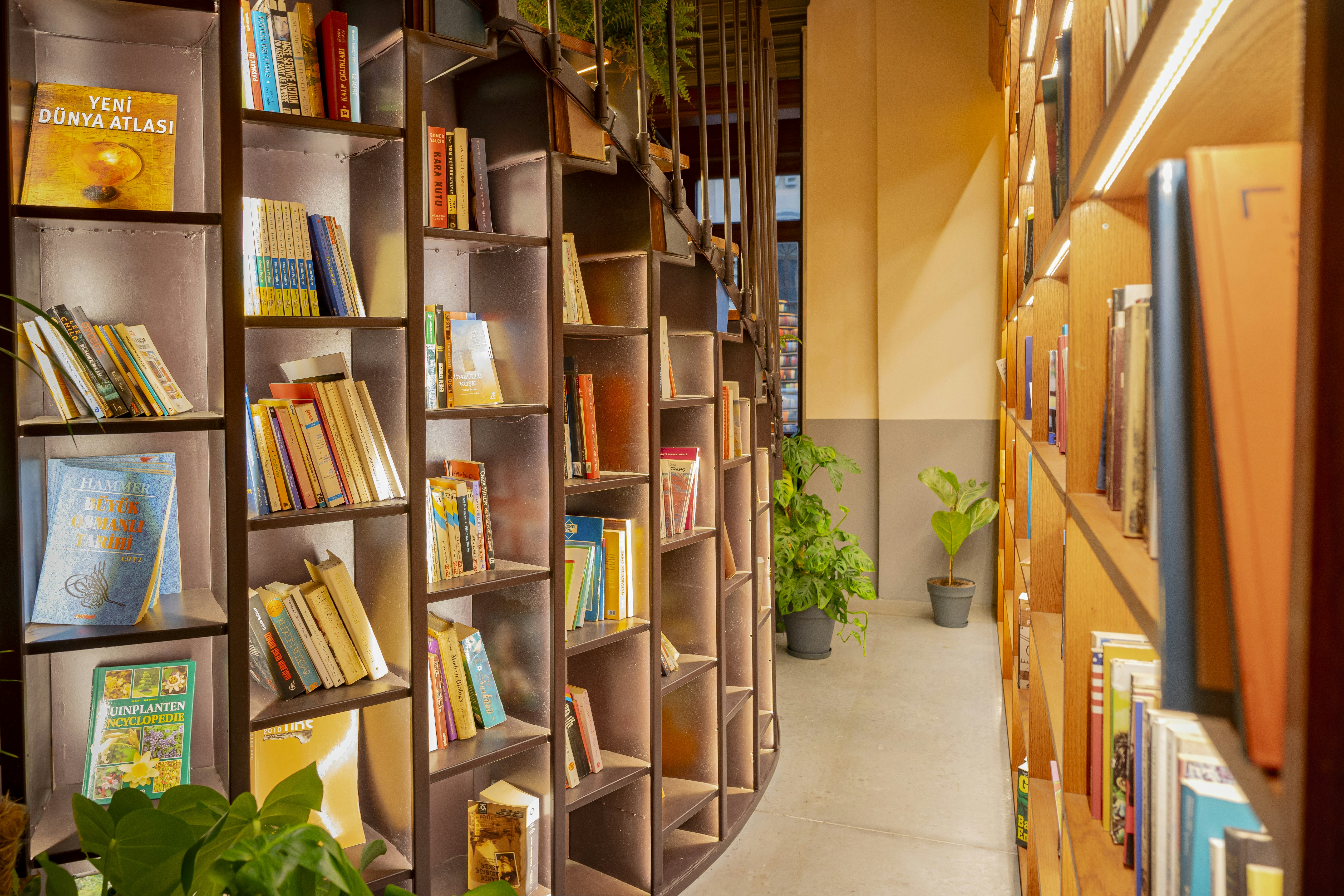 Photo by enisvisuals