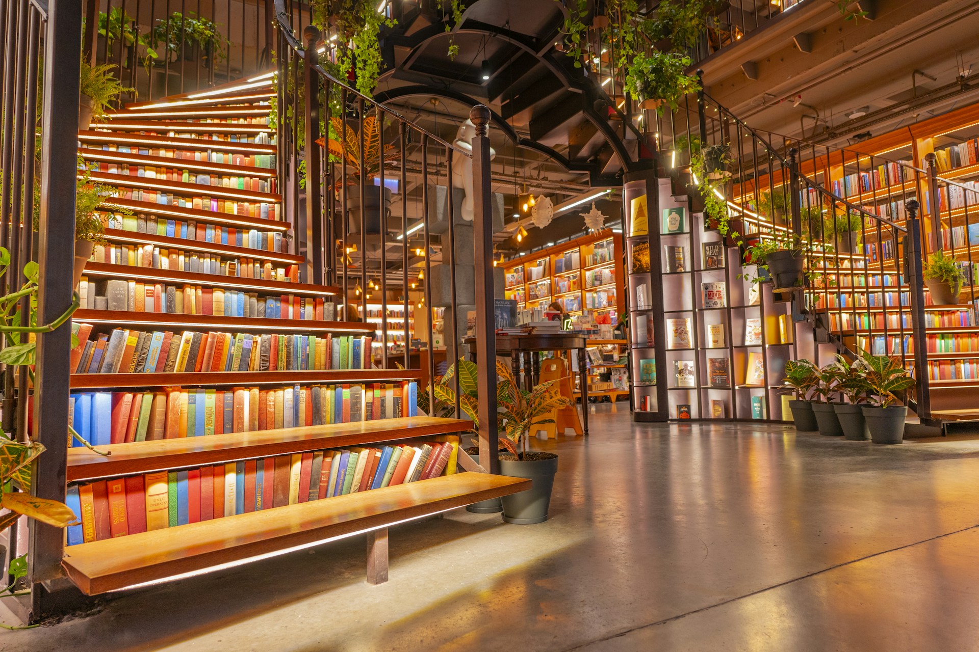 A library filled with lots of books and plants