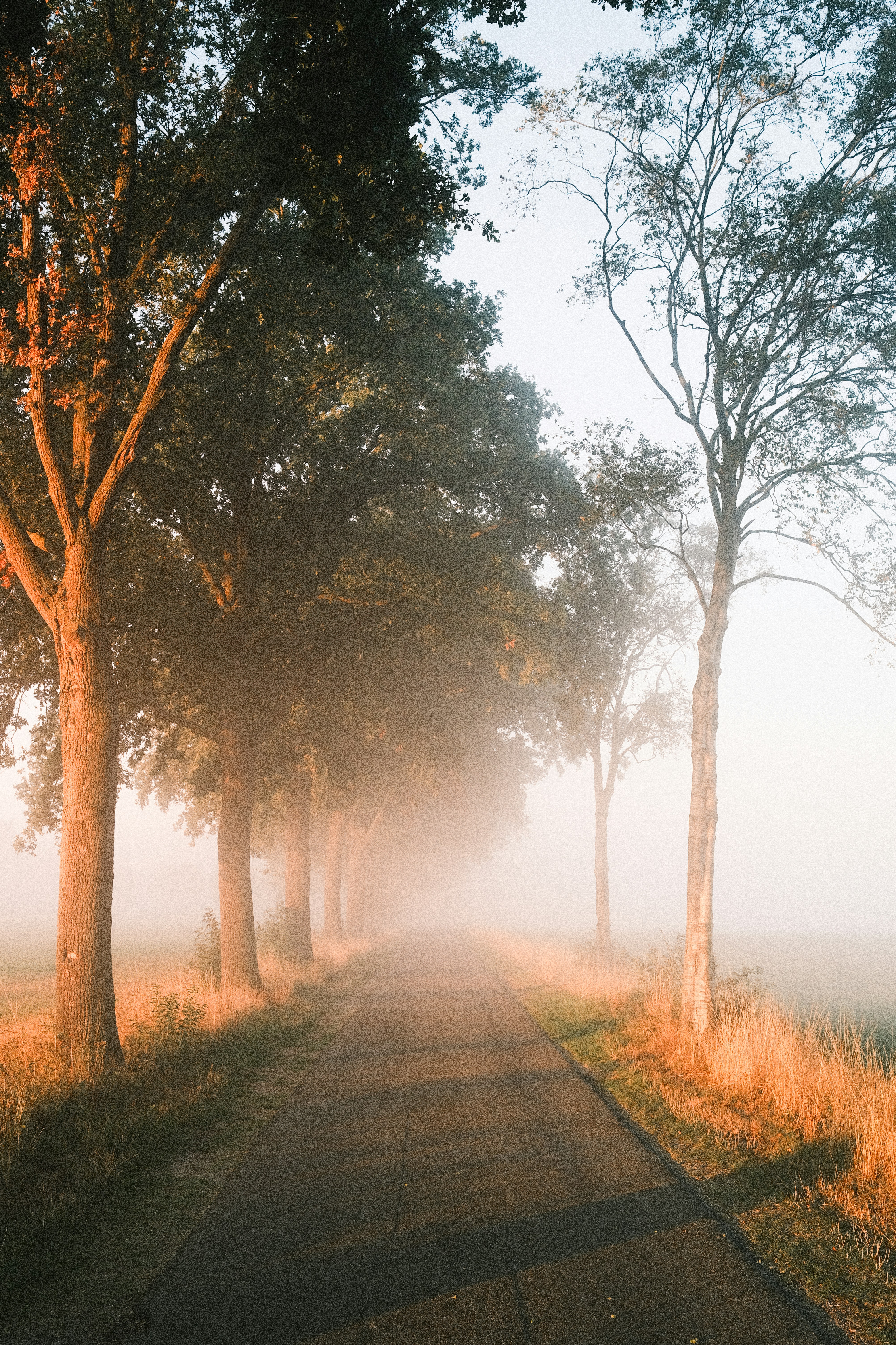 Photo by visualsbying