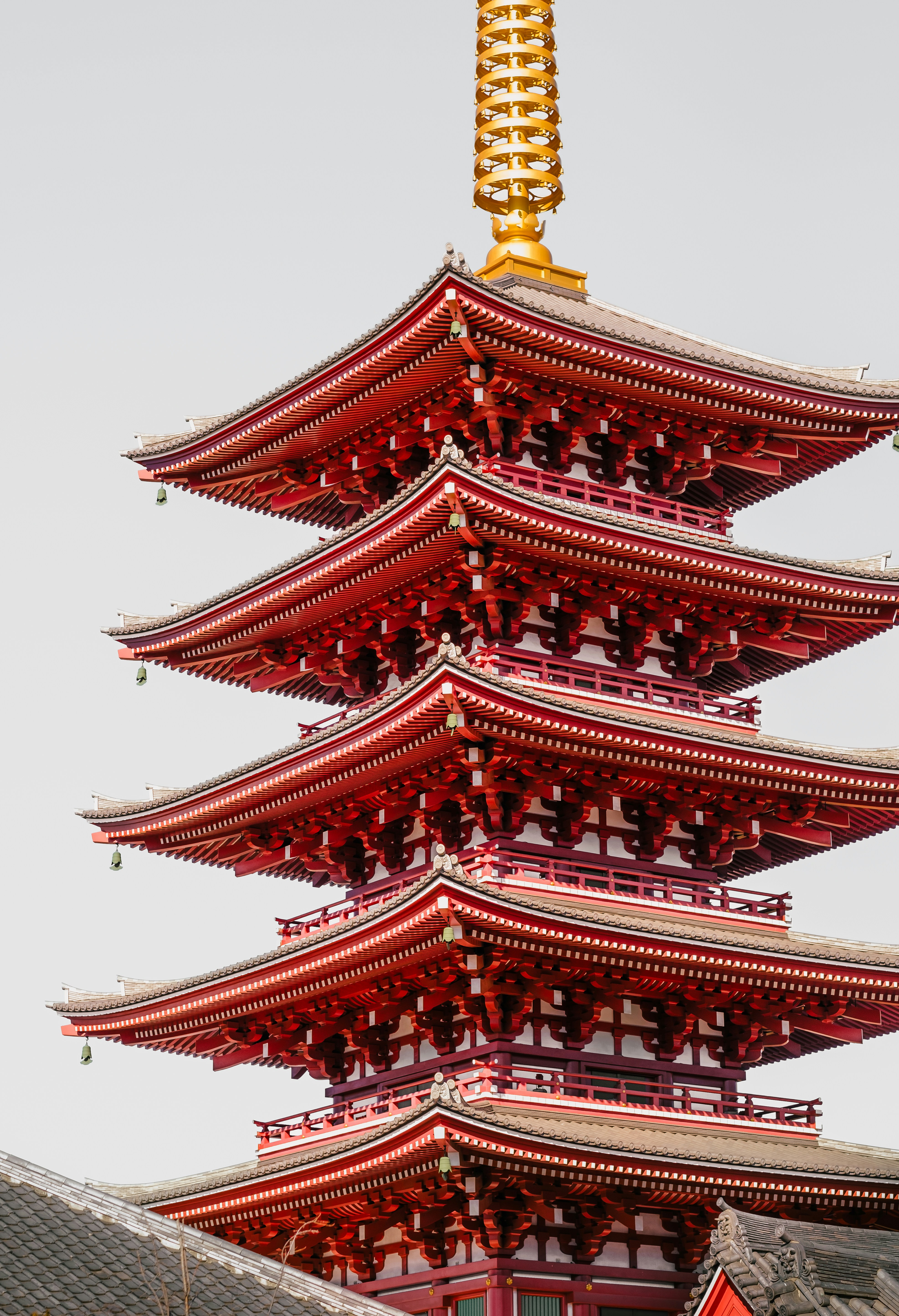 Photo by wenhao_ruan