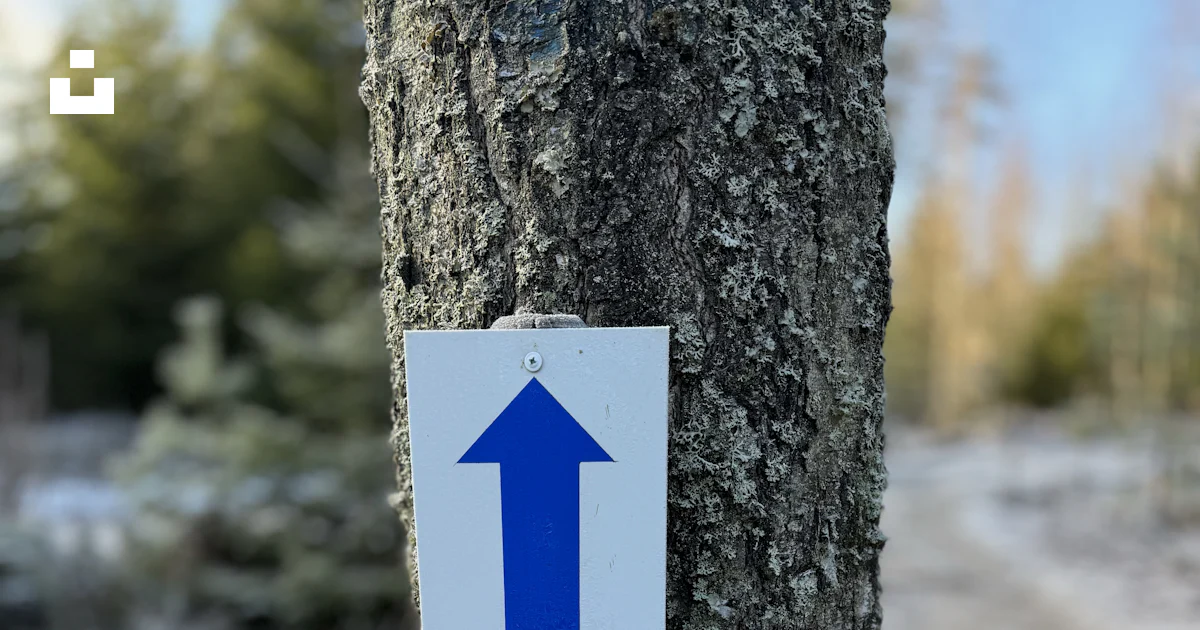 A sign on a tree points to different directions photo – Free Paper ...