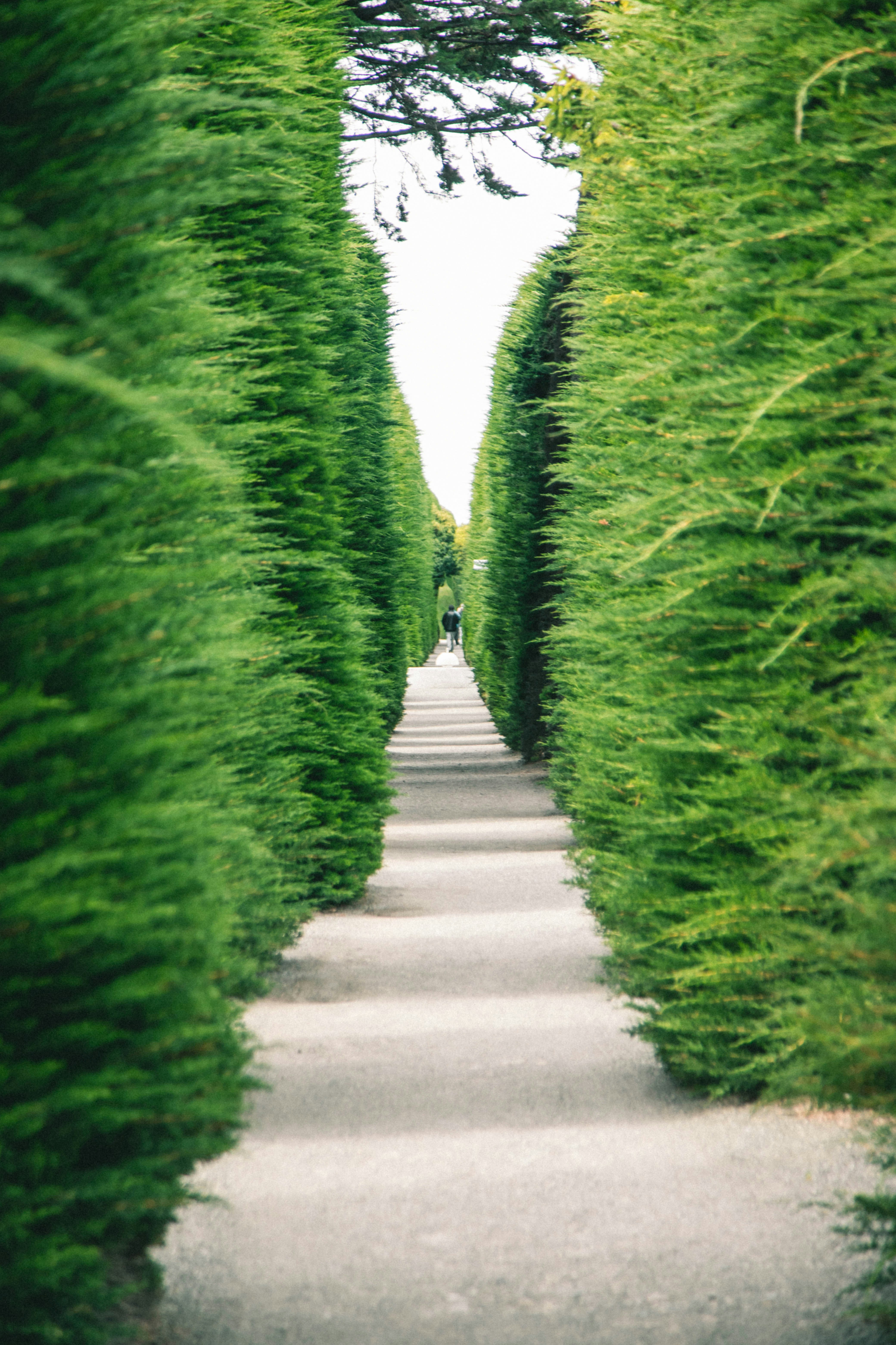 Photo by gustavo0351