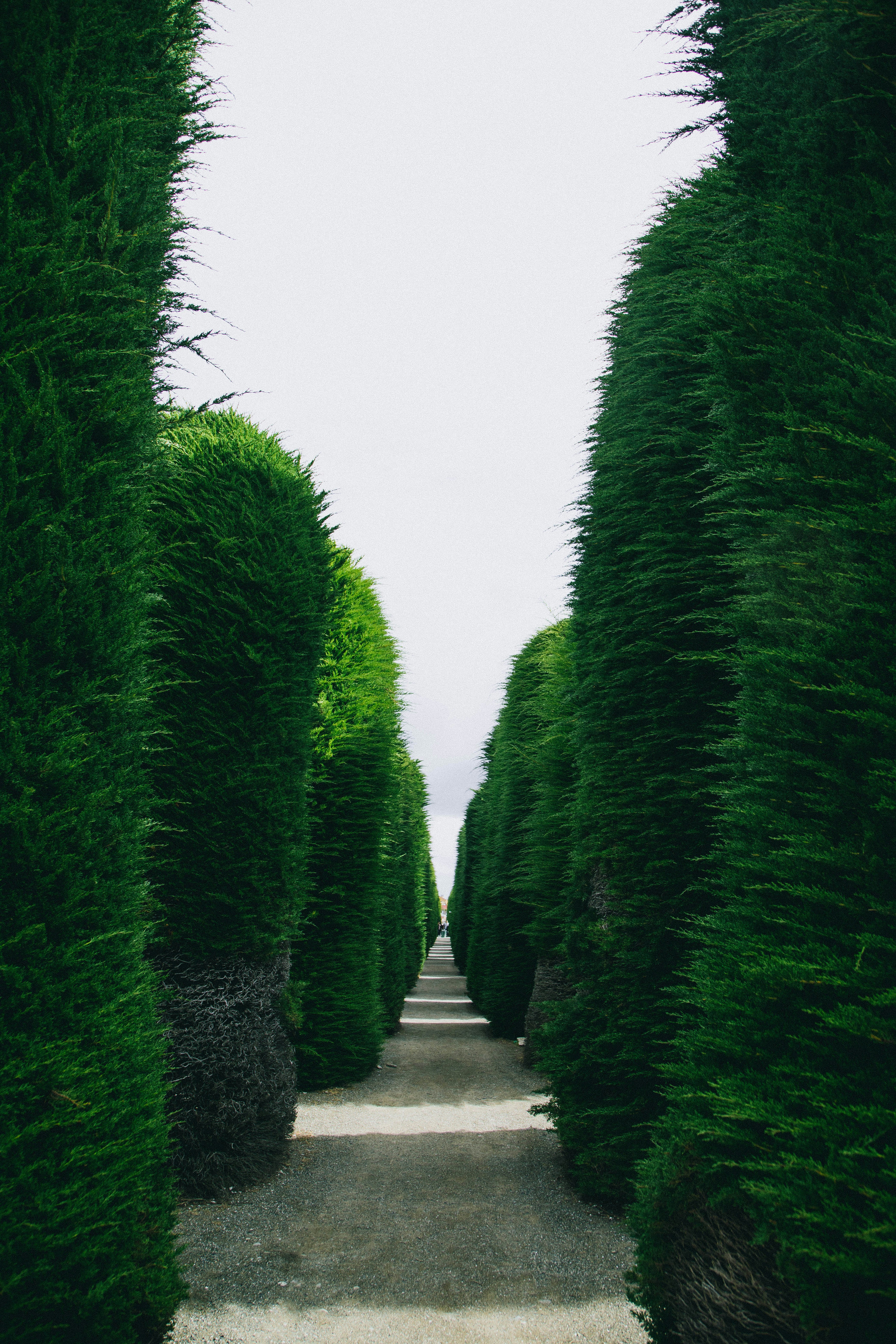 Photo by gustavo0351