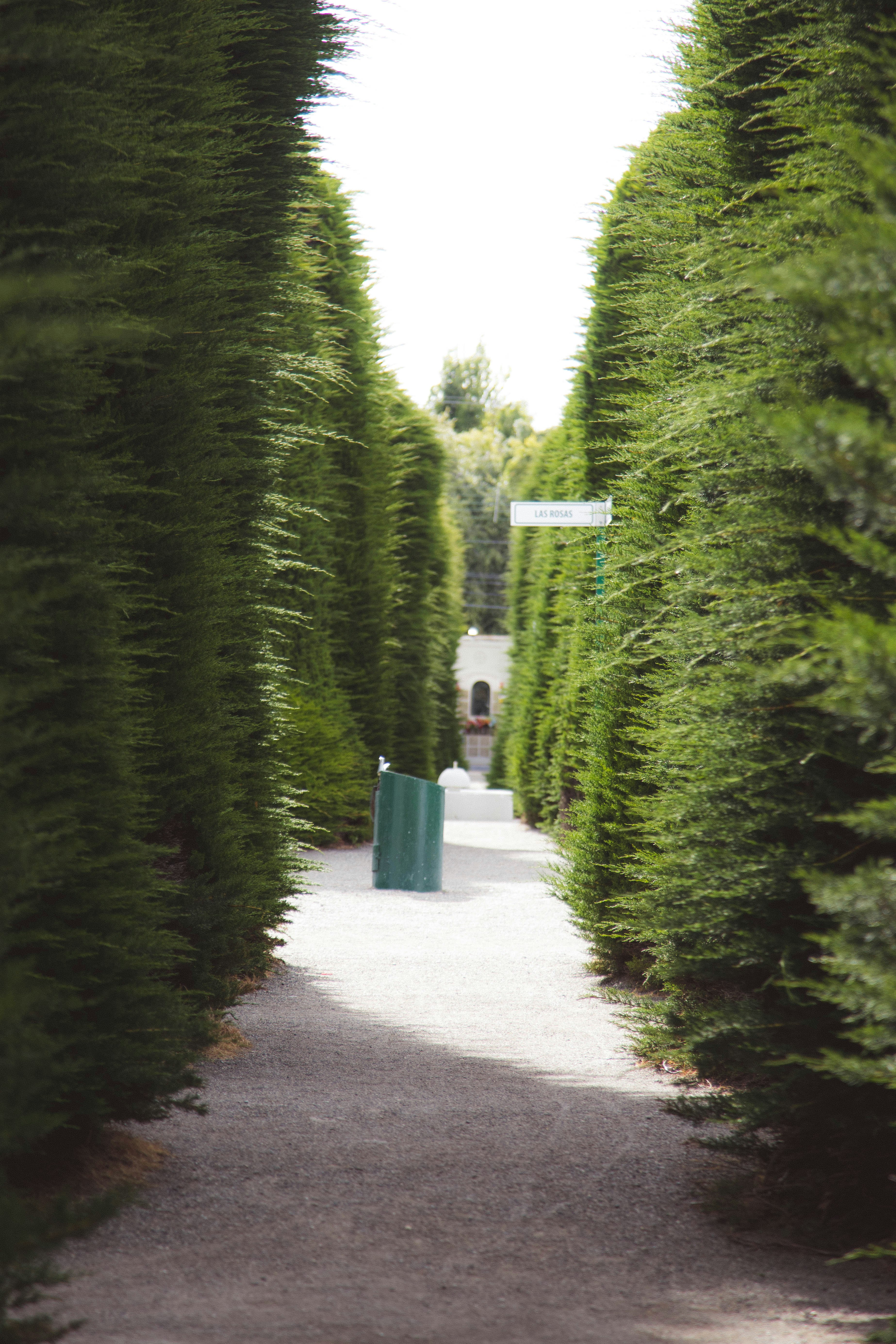 Photo by gustavo0351