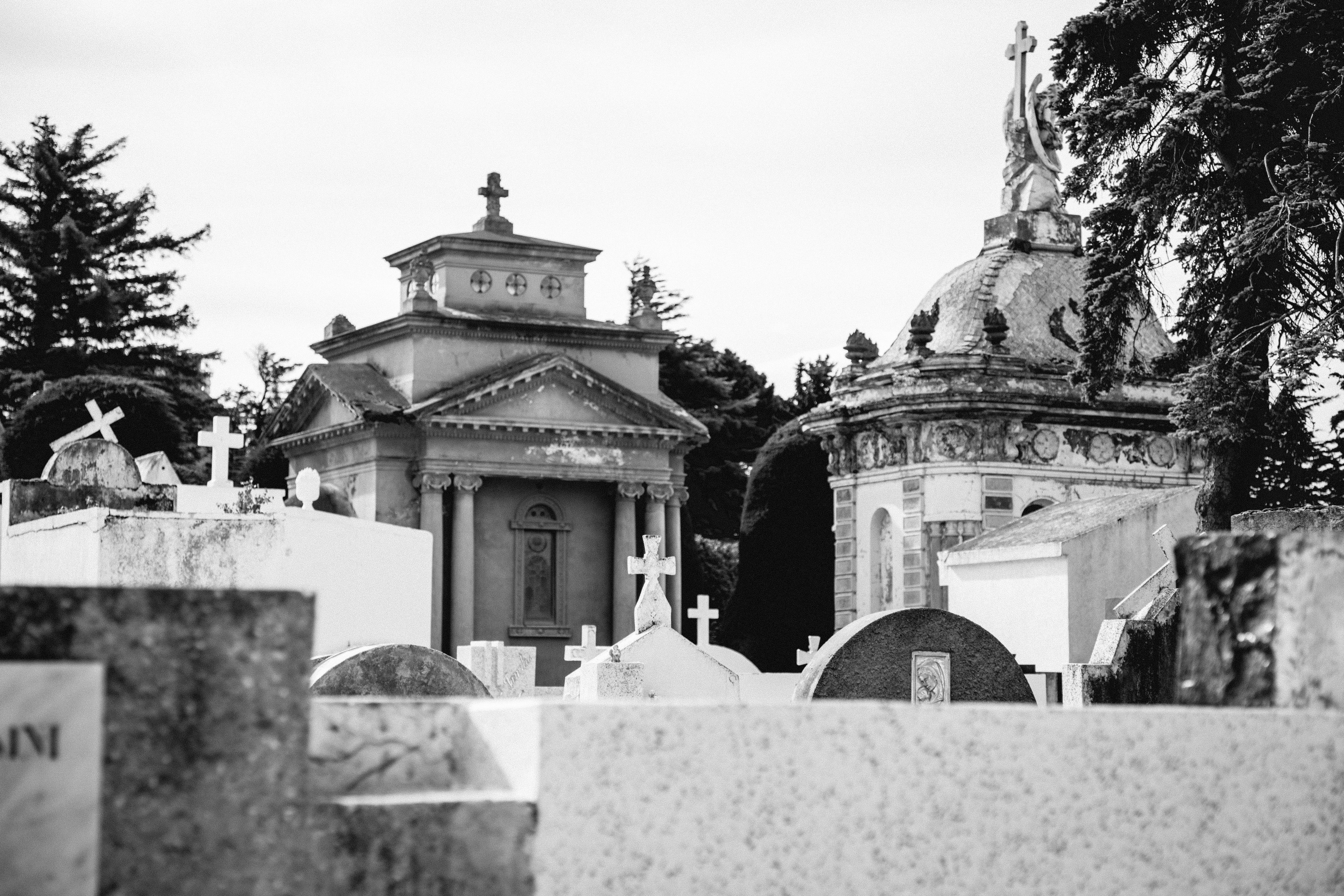 Photo by gustavo0351