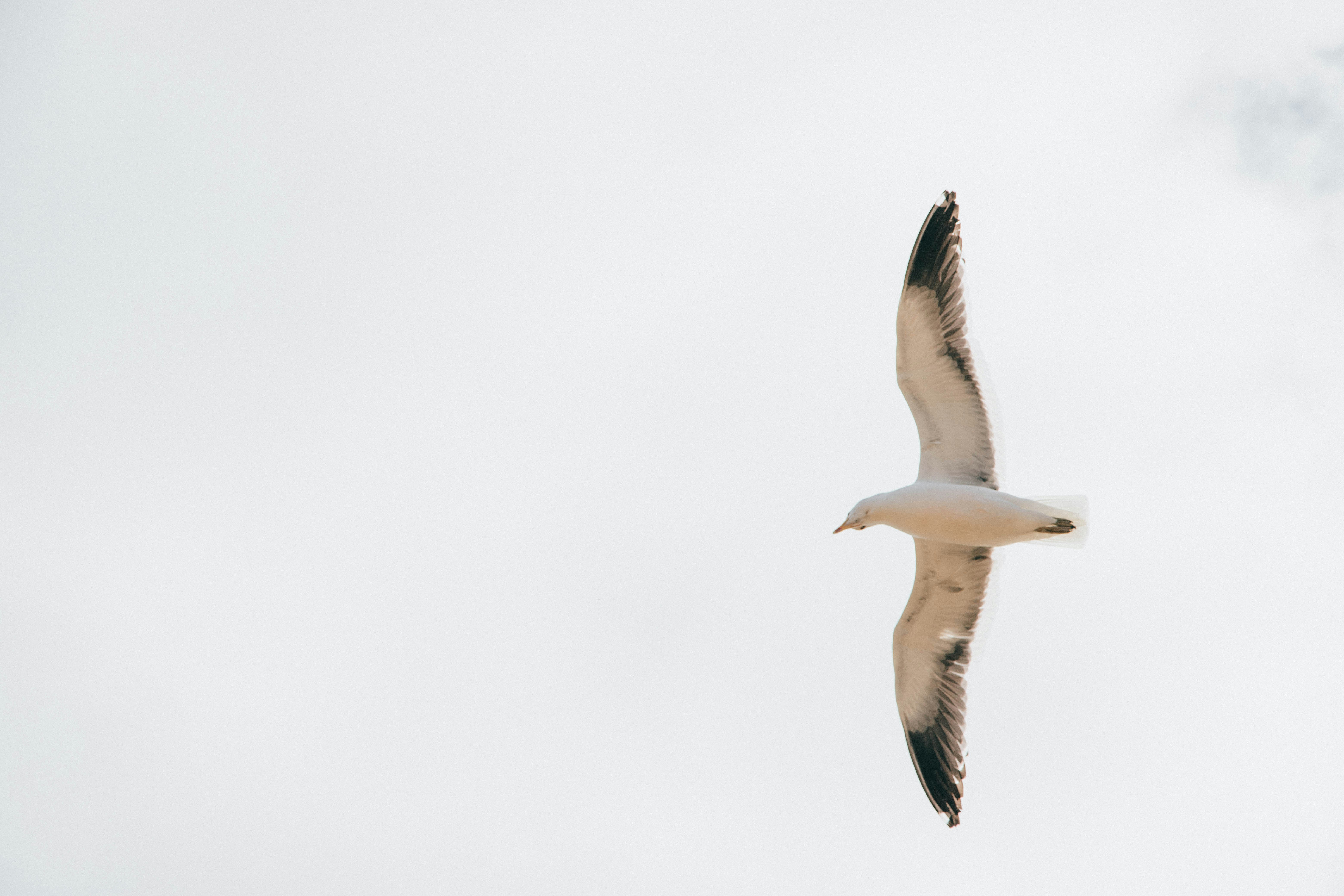 Photo by gustavo0351