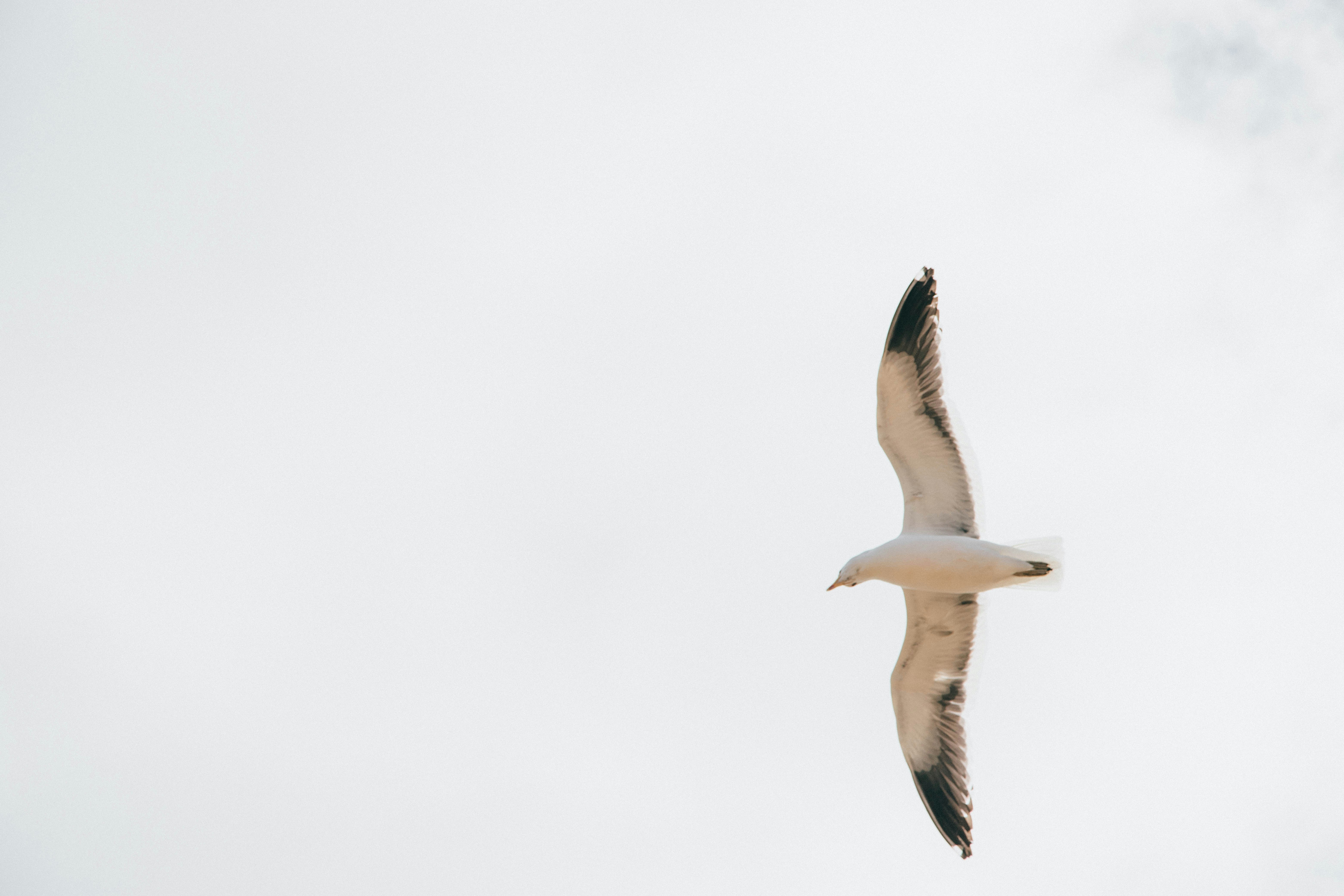 Photo by gustavo0351