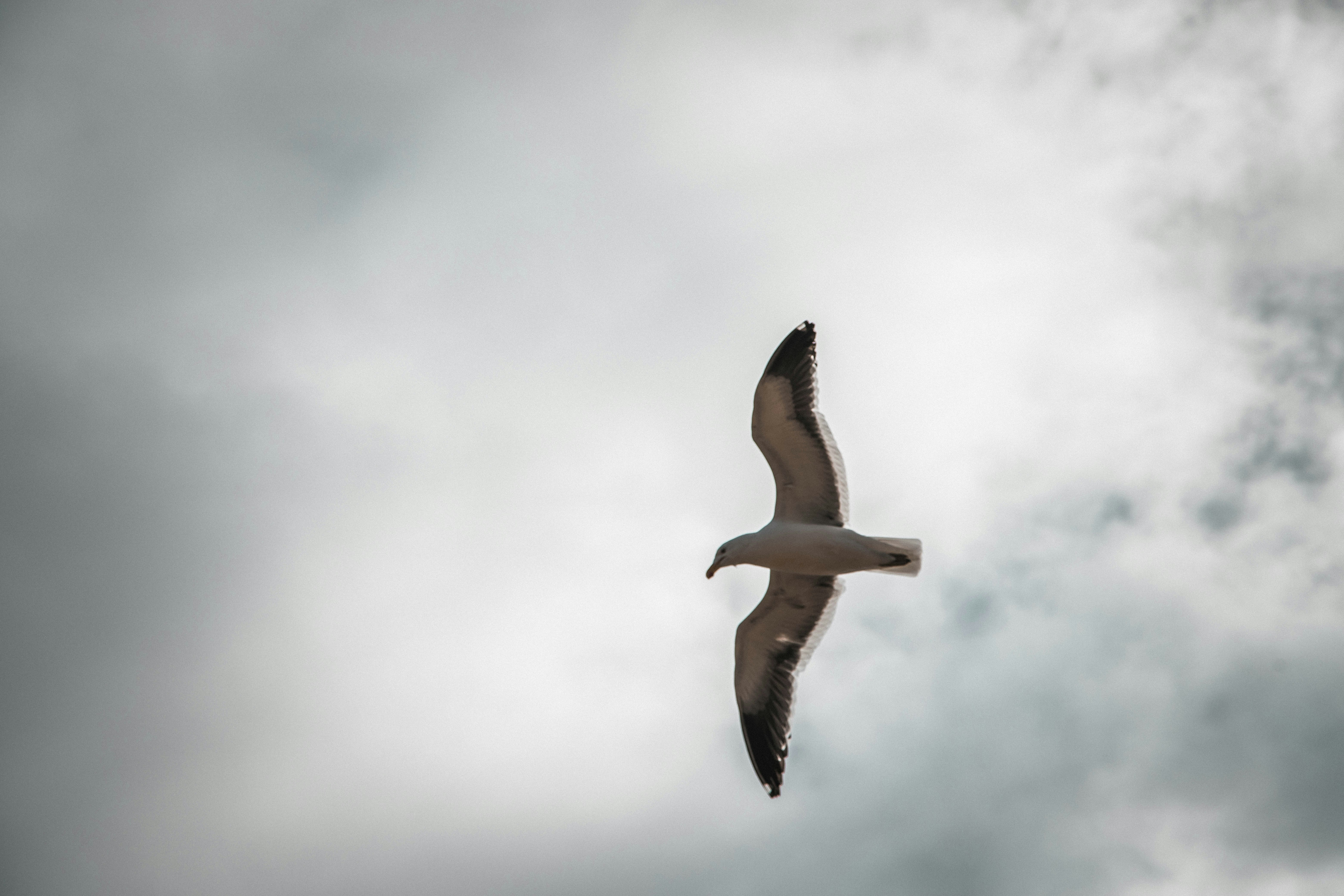 Photo by gustavo0351