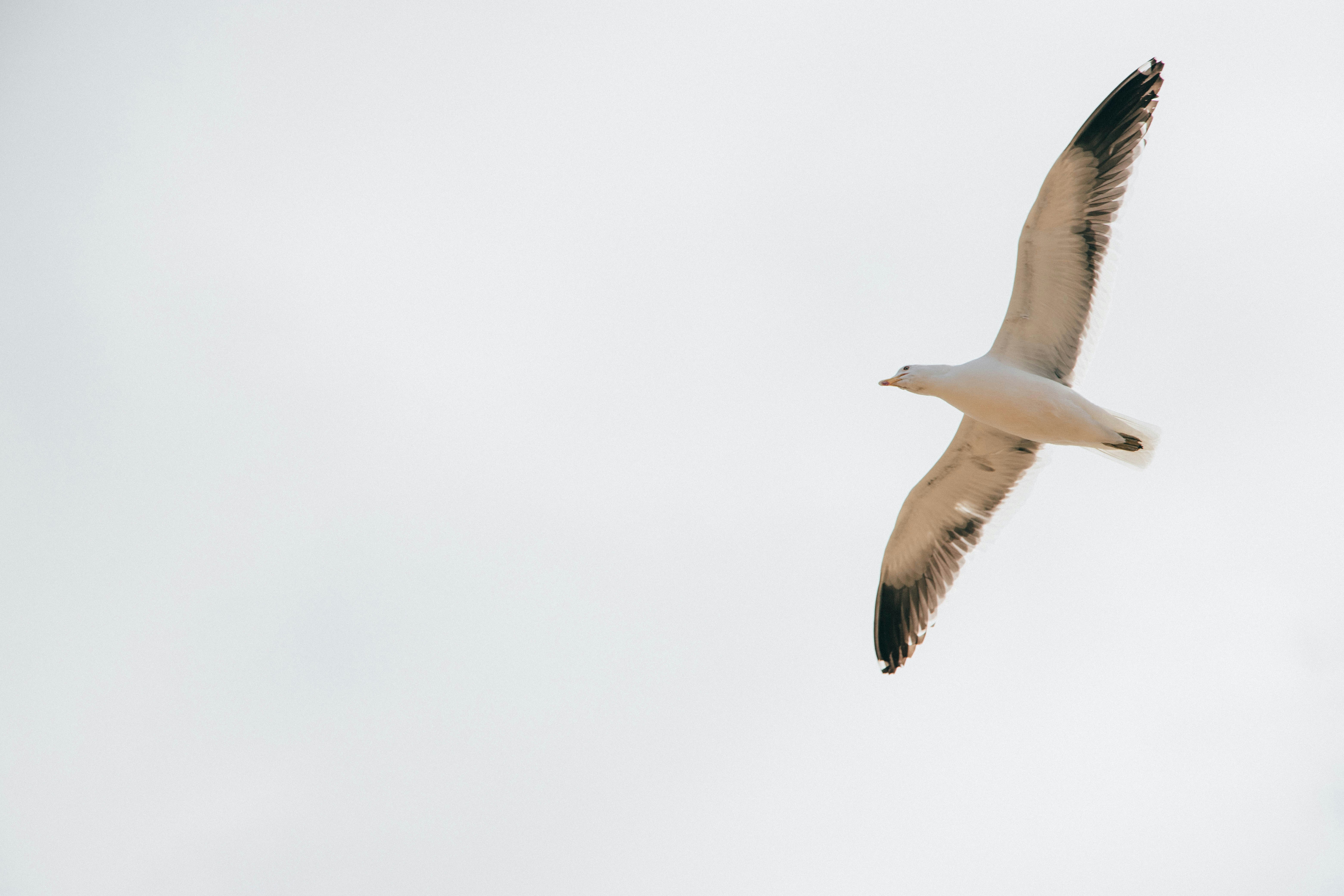 Photo by gustavo0351