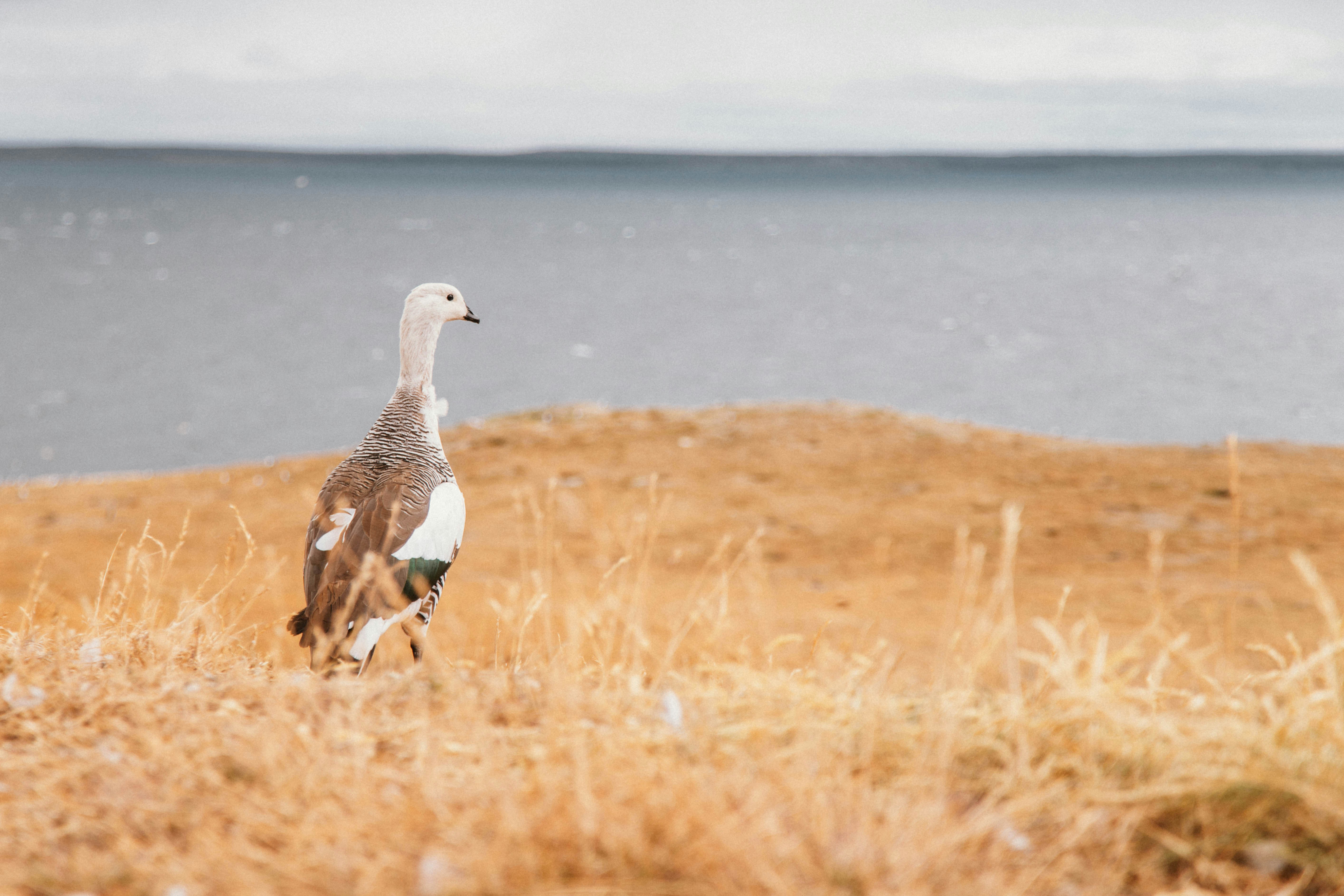 Photo by gustavo0351