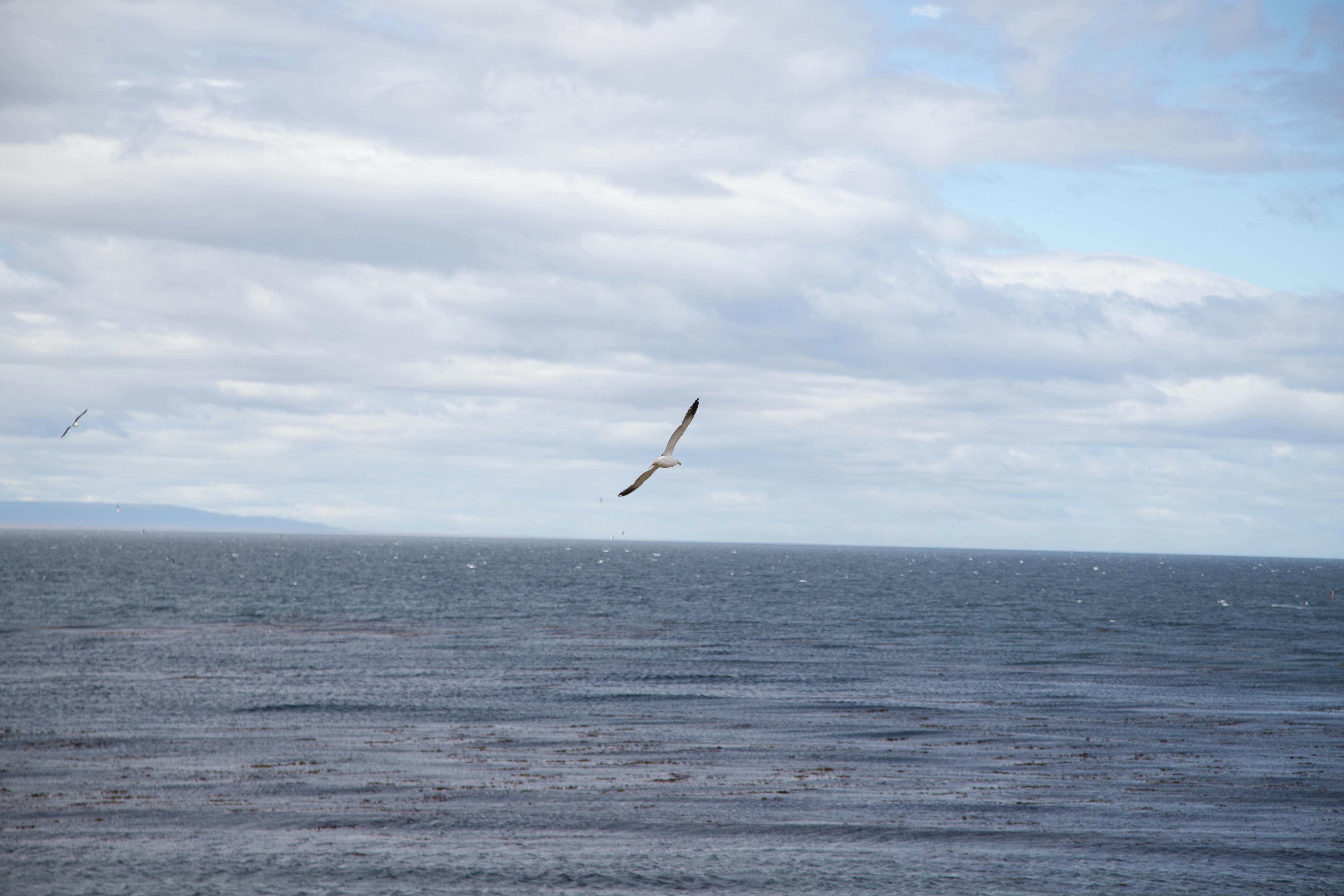 Photo by gustavo0351