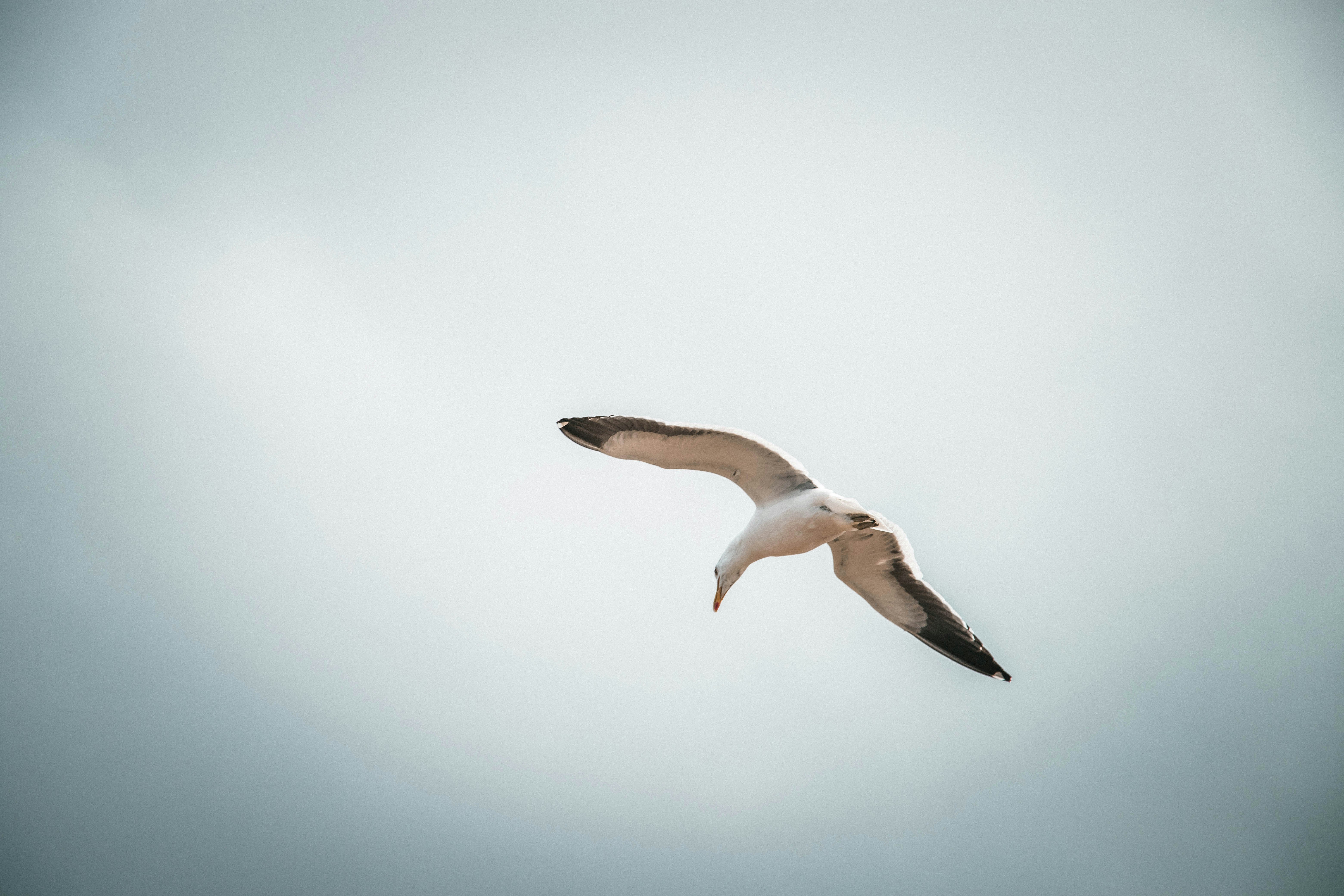 Photo by gustavo0351