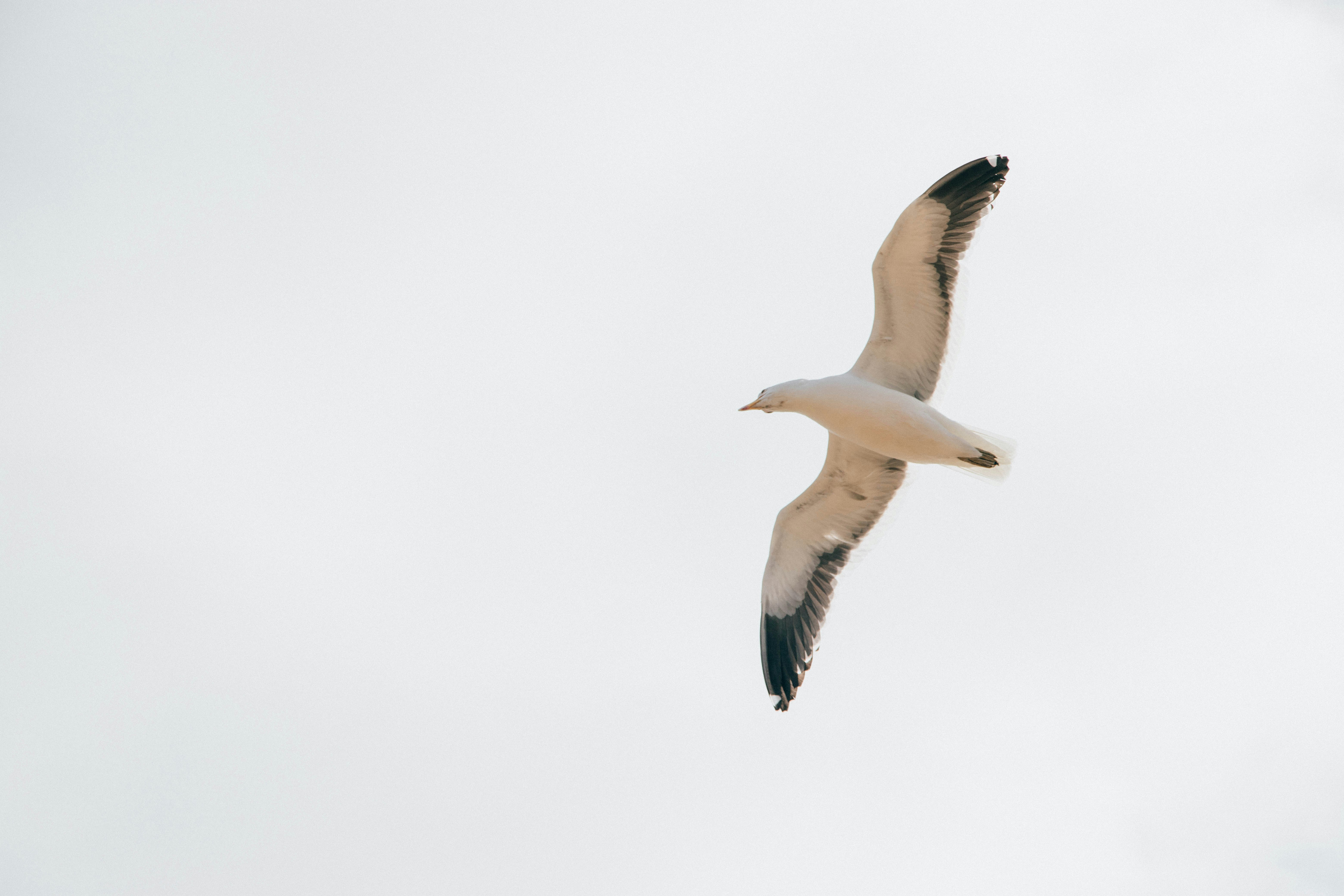 Photo by gustavo0351