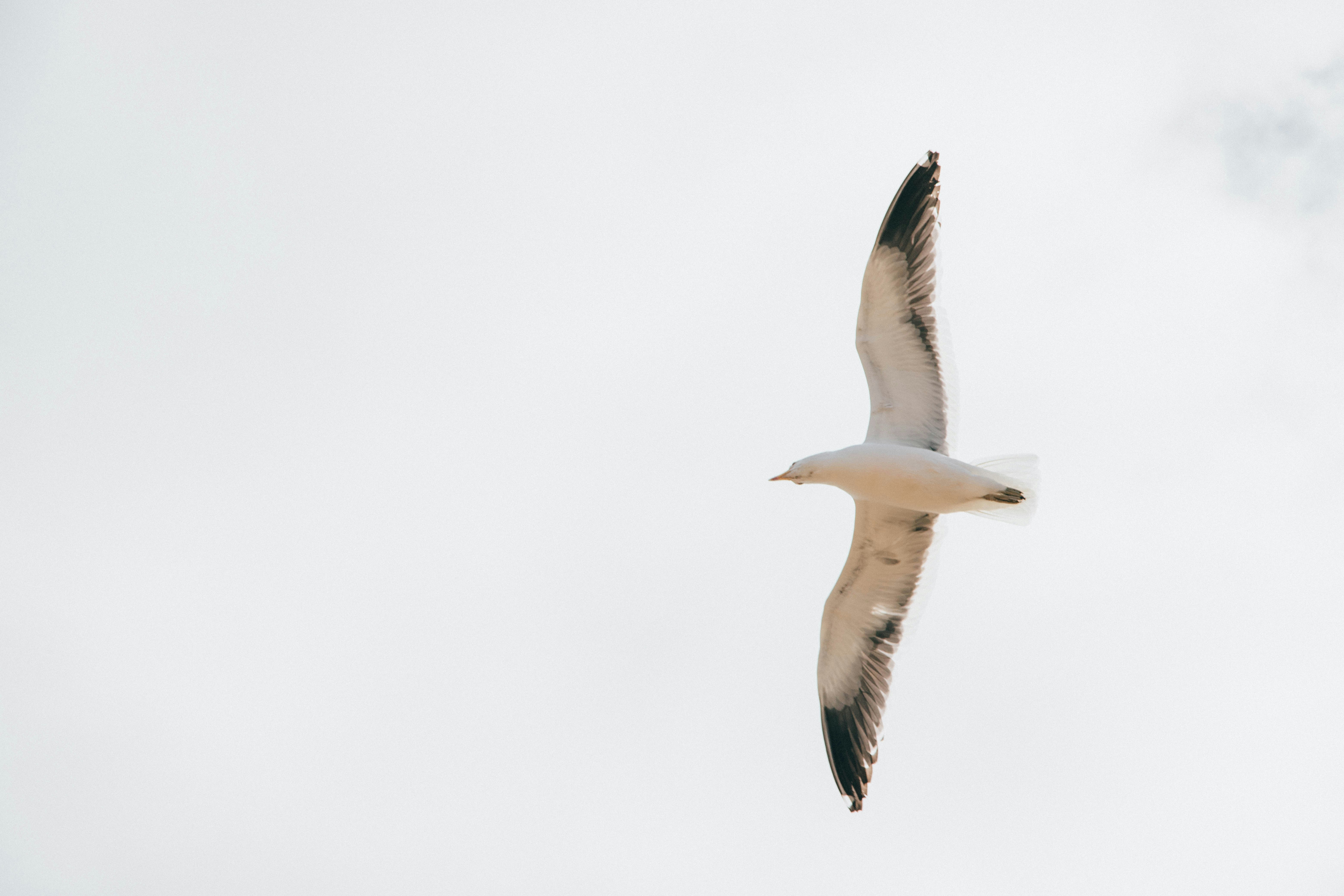 Photo by gustavo0351