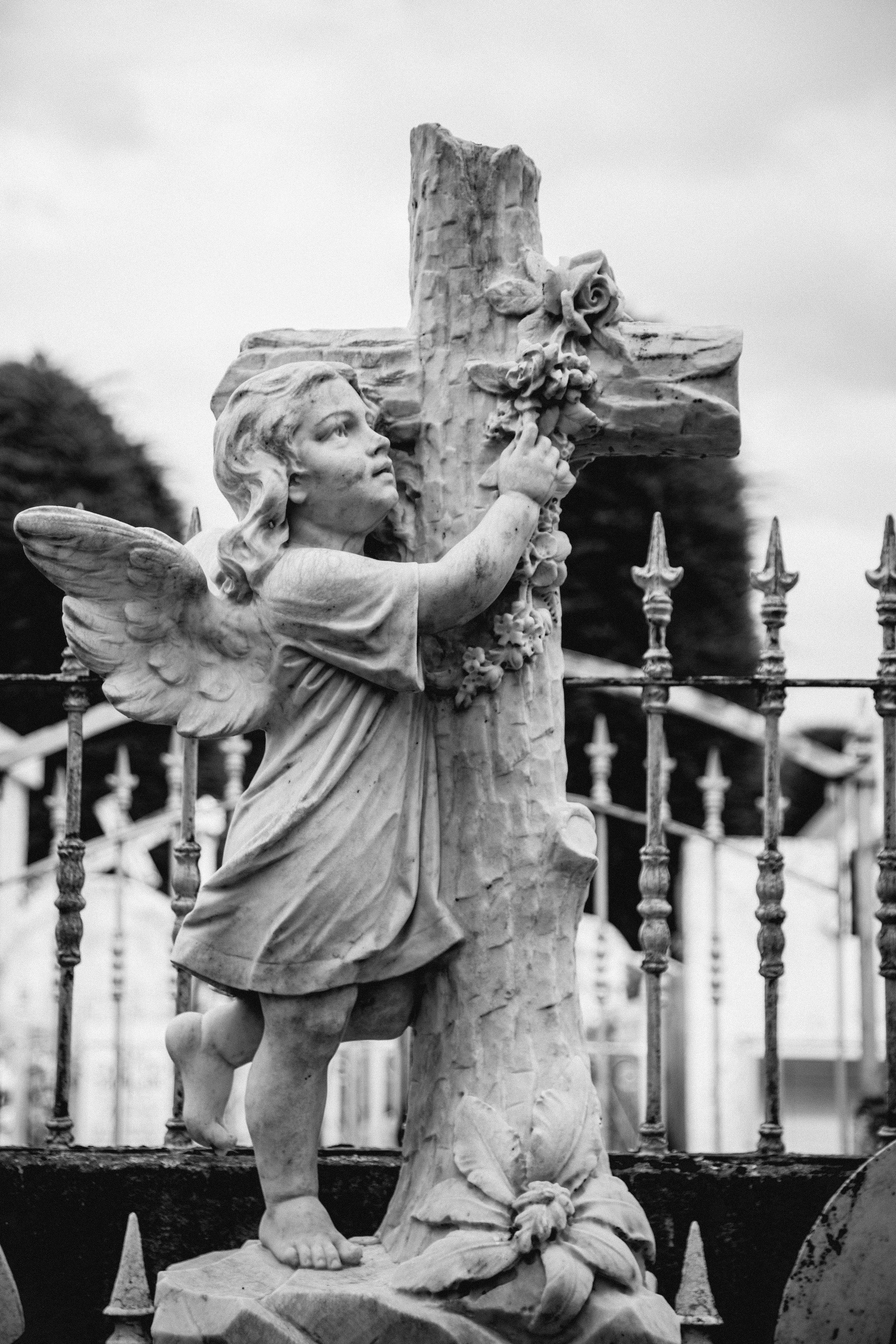 Photo by gustavo0351