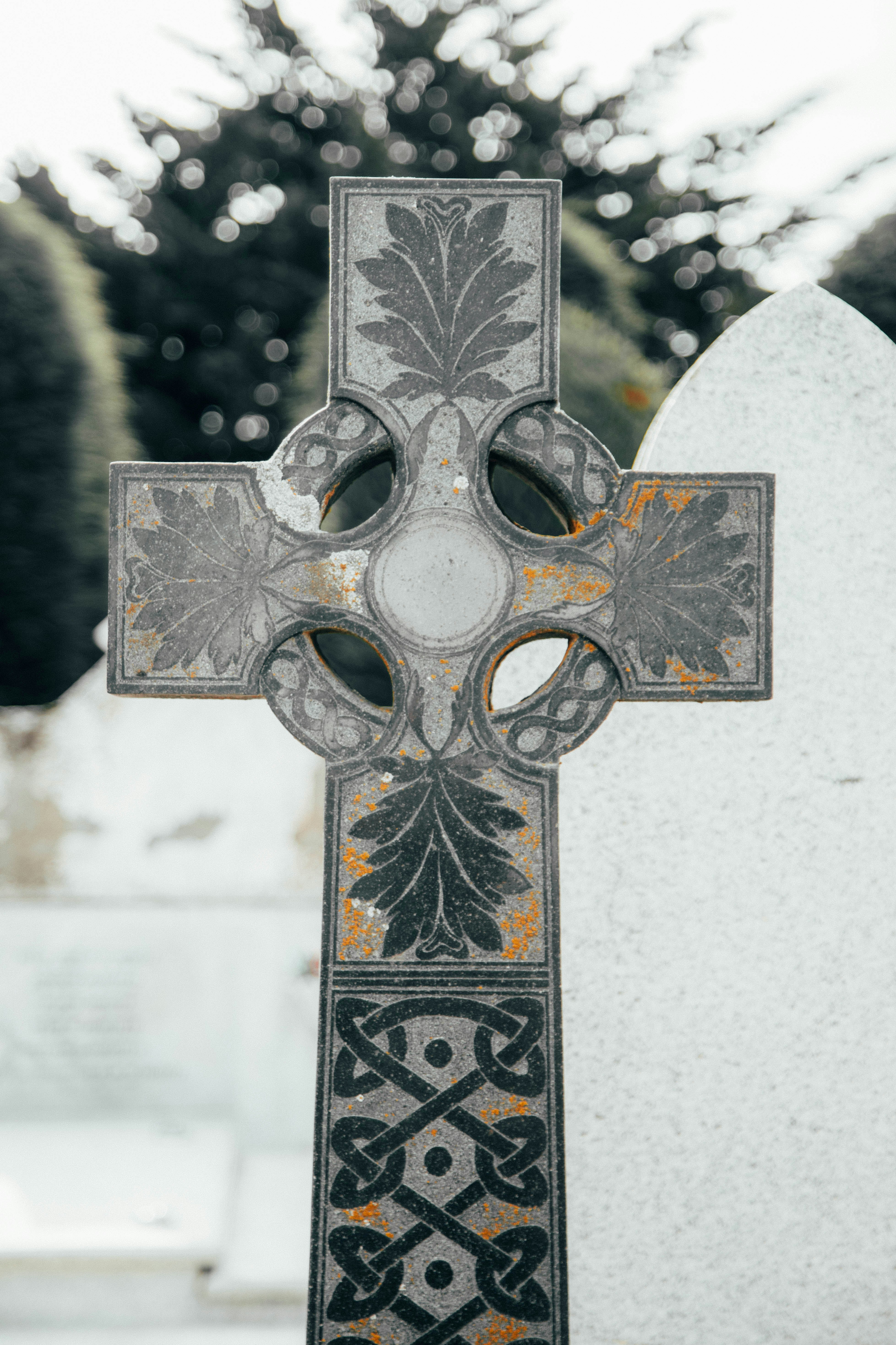 Photo by gustavo0351