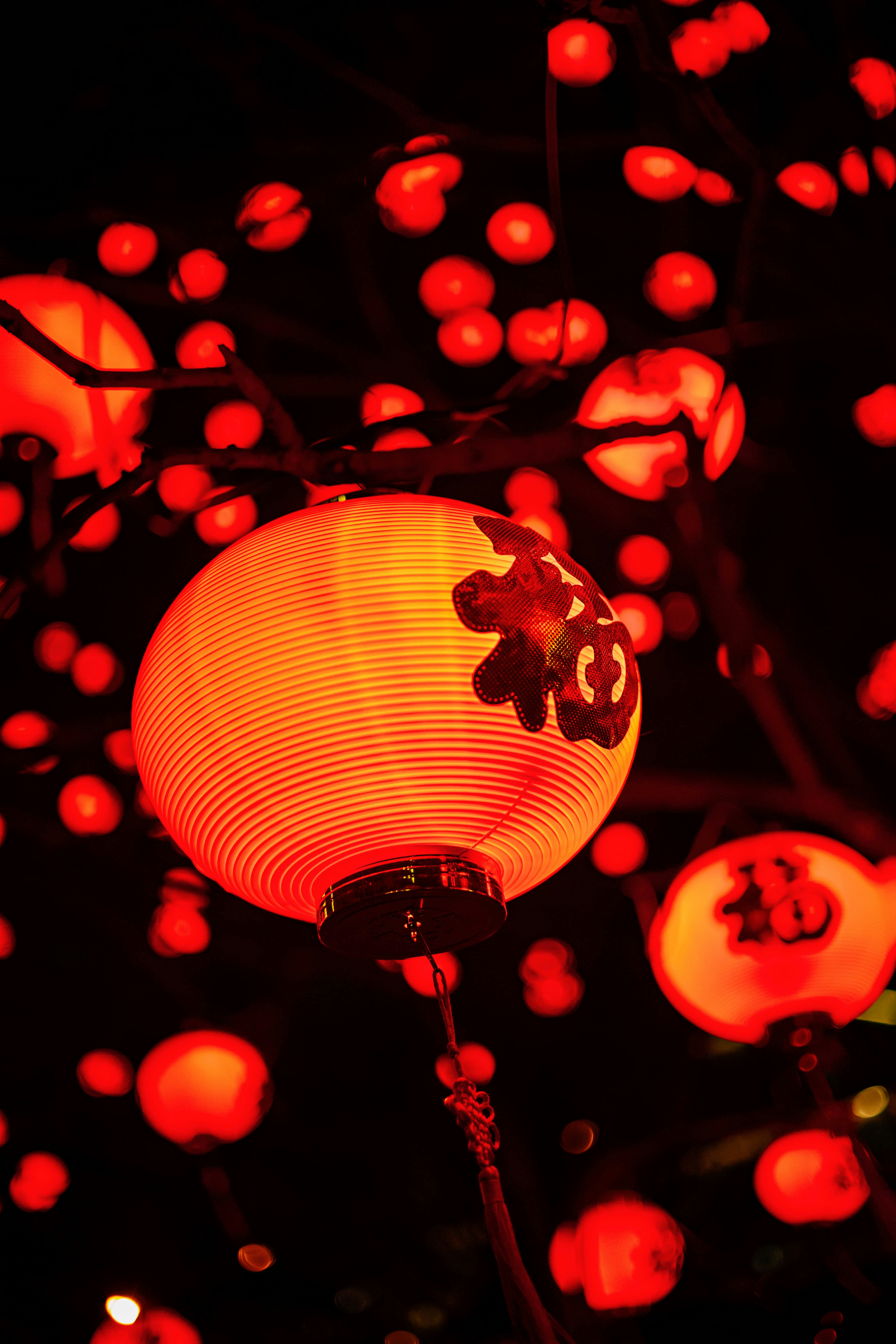 Photo by tommaomaoer