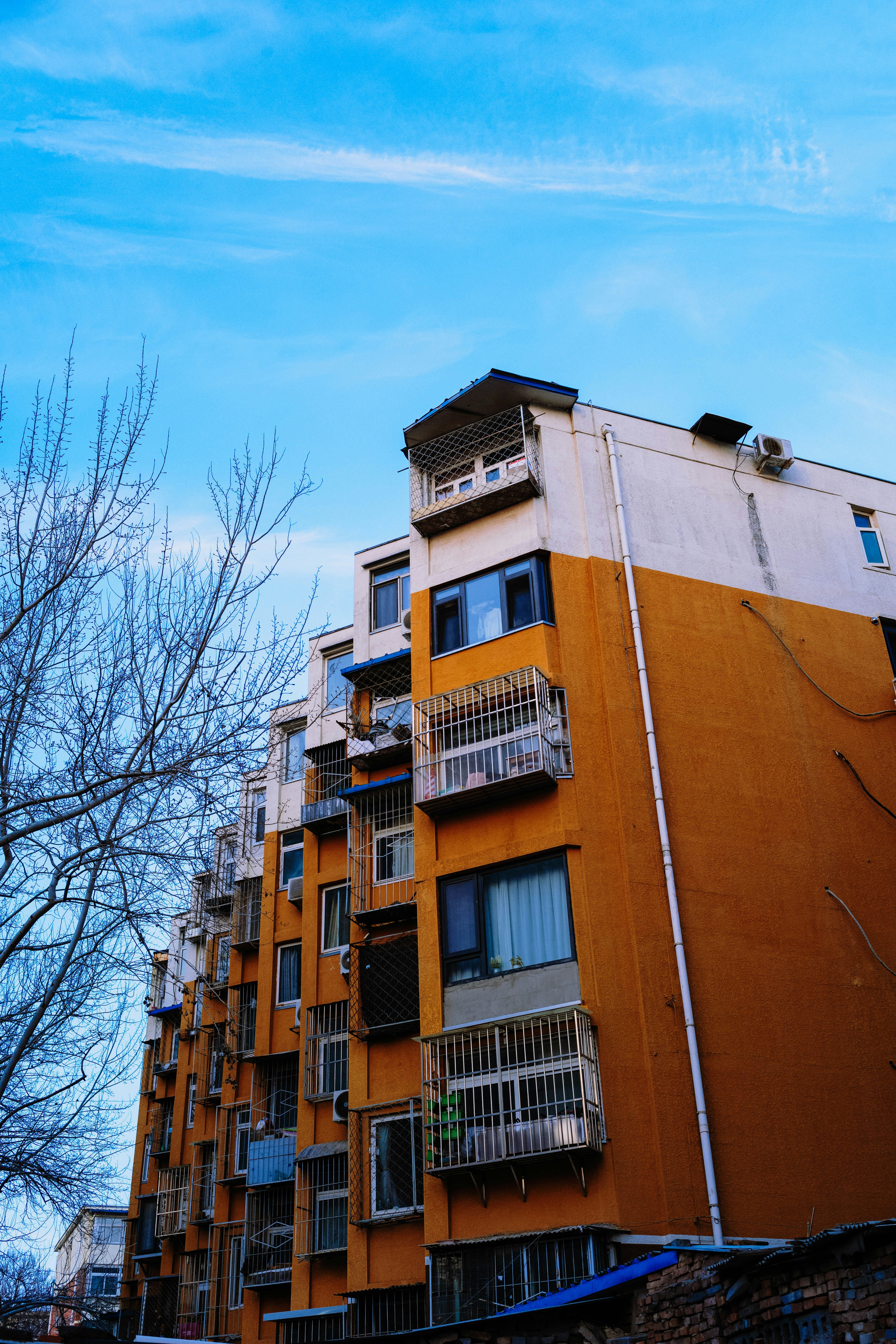 Photo by tommaomaoer