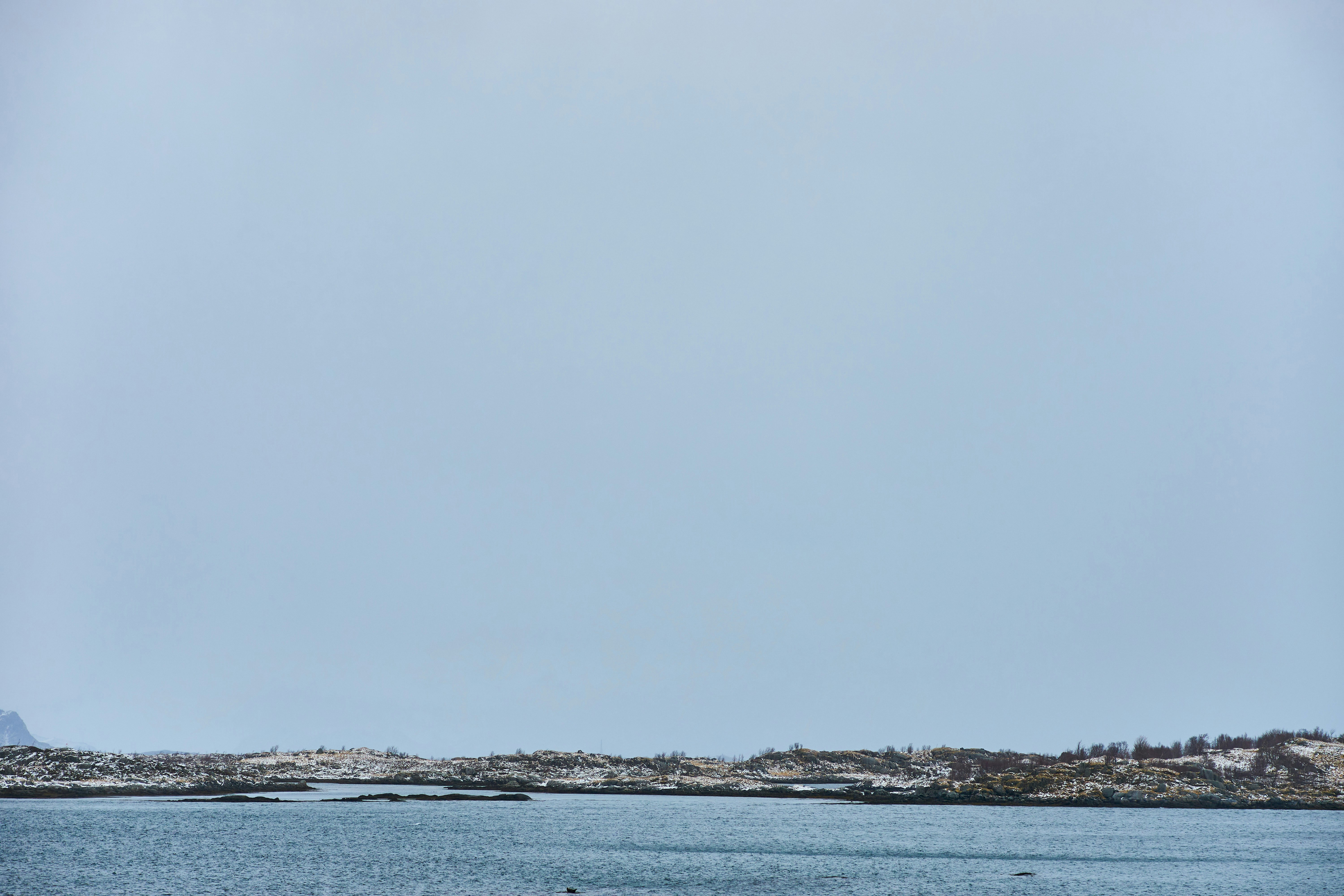 Photo by wolfgang_hasselmann