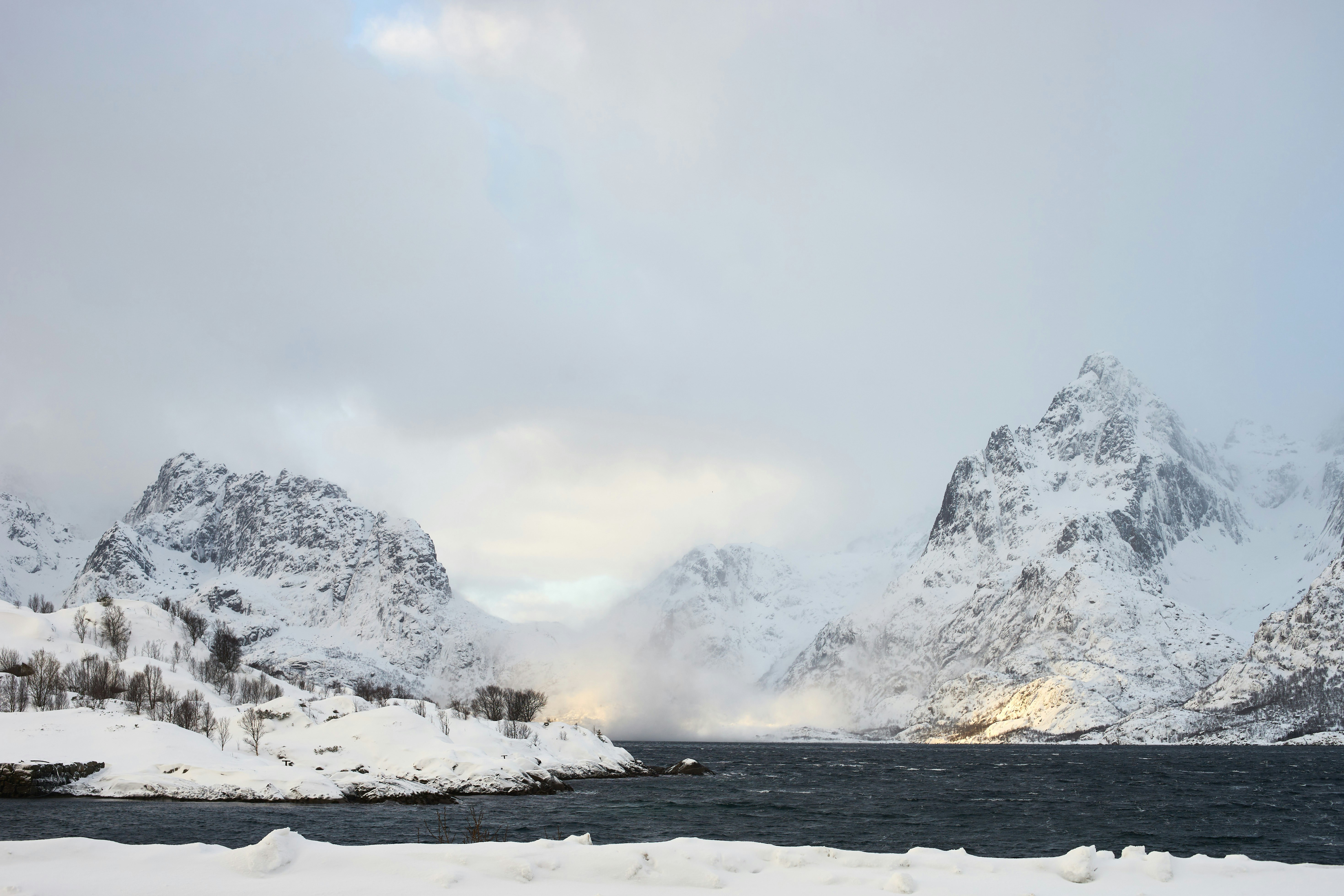 Photo by wolfgang_hasselmann