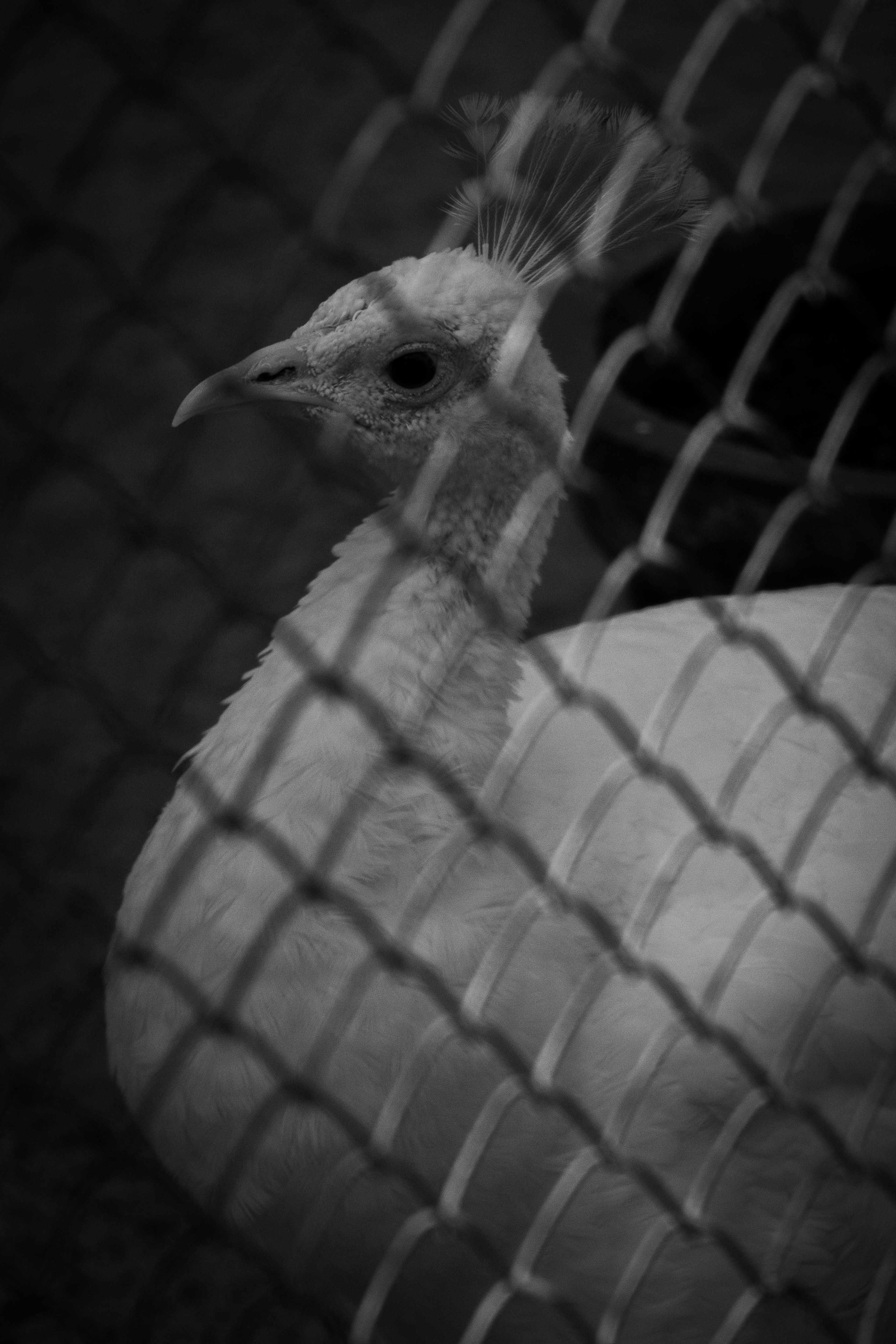 Photo by suryadoingstuff