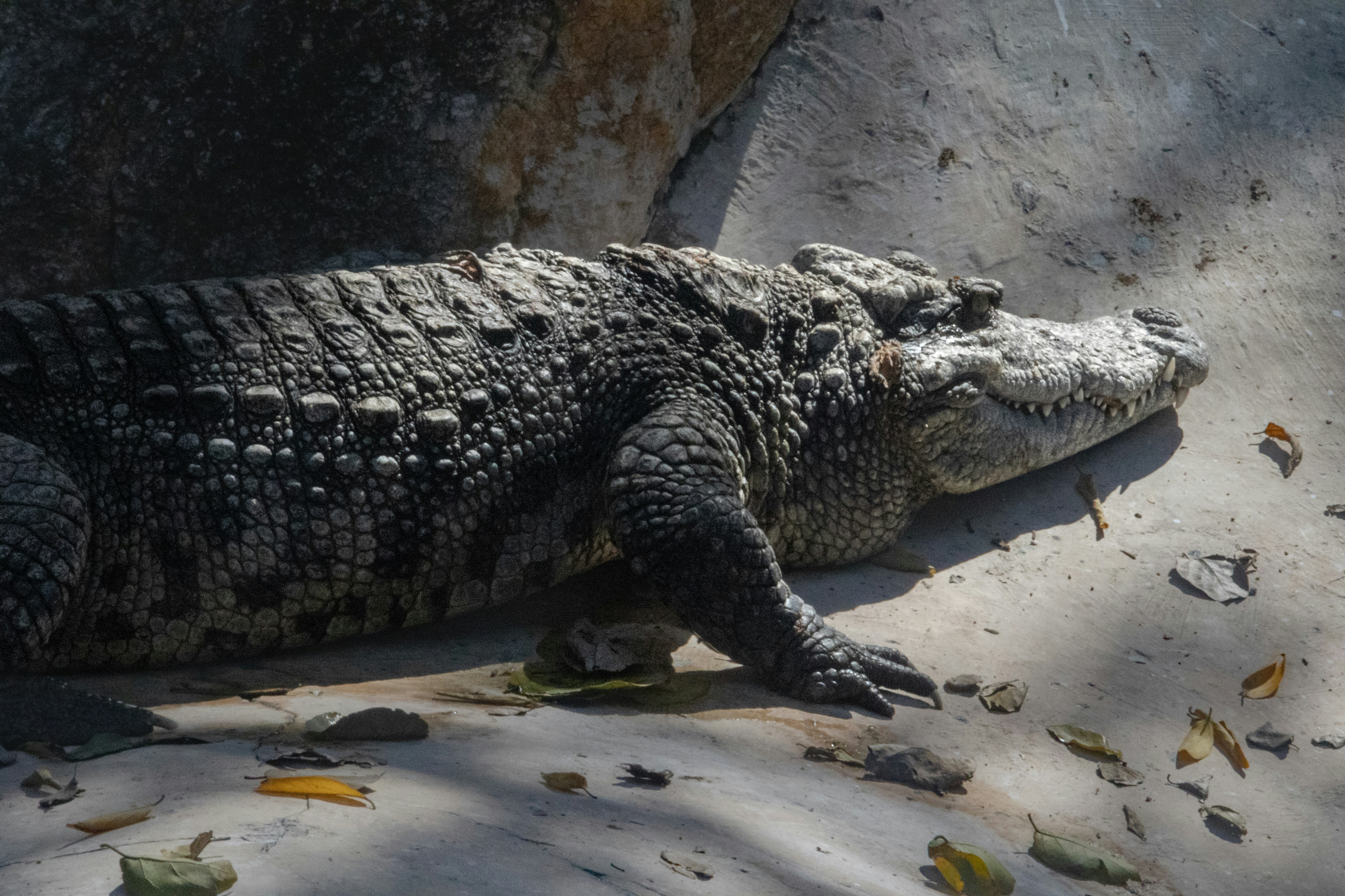 Photo by suryadoingstuff