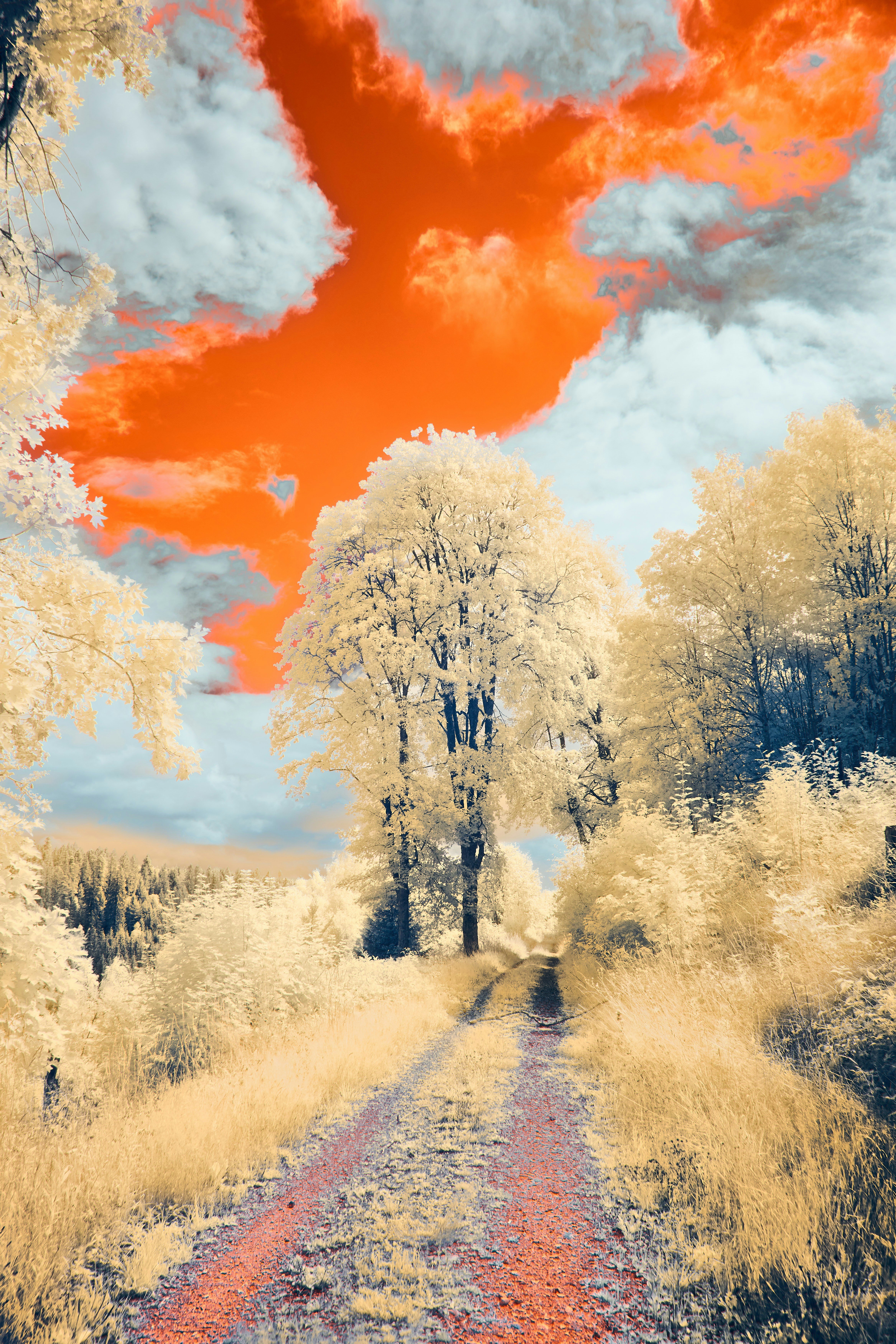 Photo by wolfgang_hasselmann