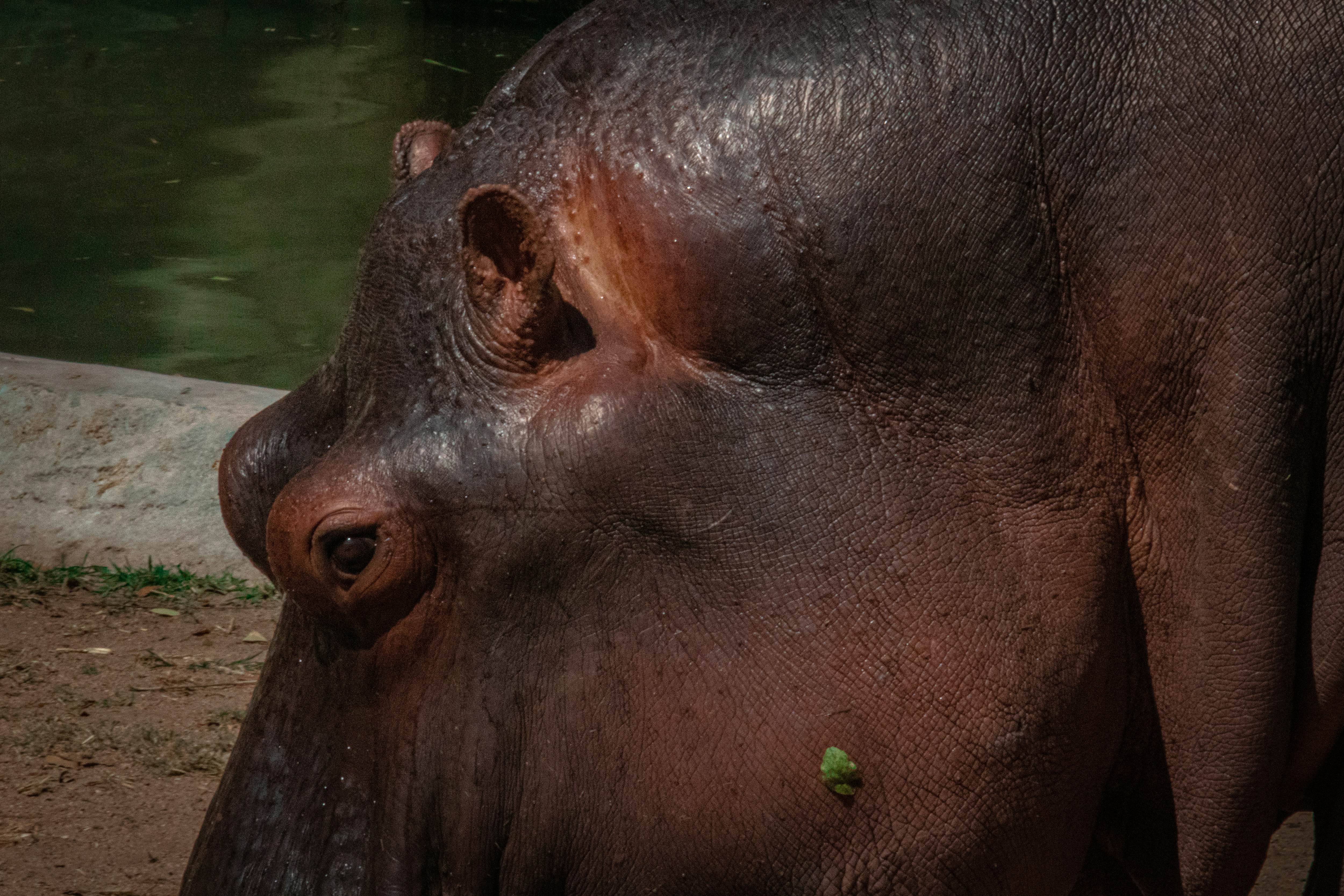 Photo by suryadoingstuff