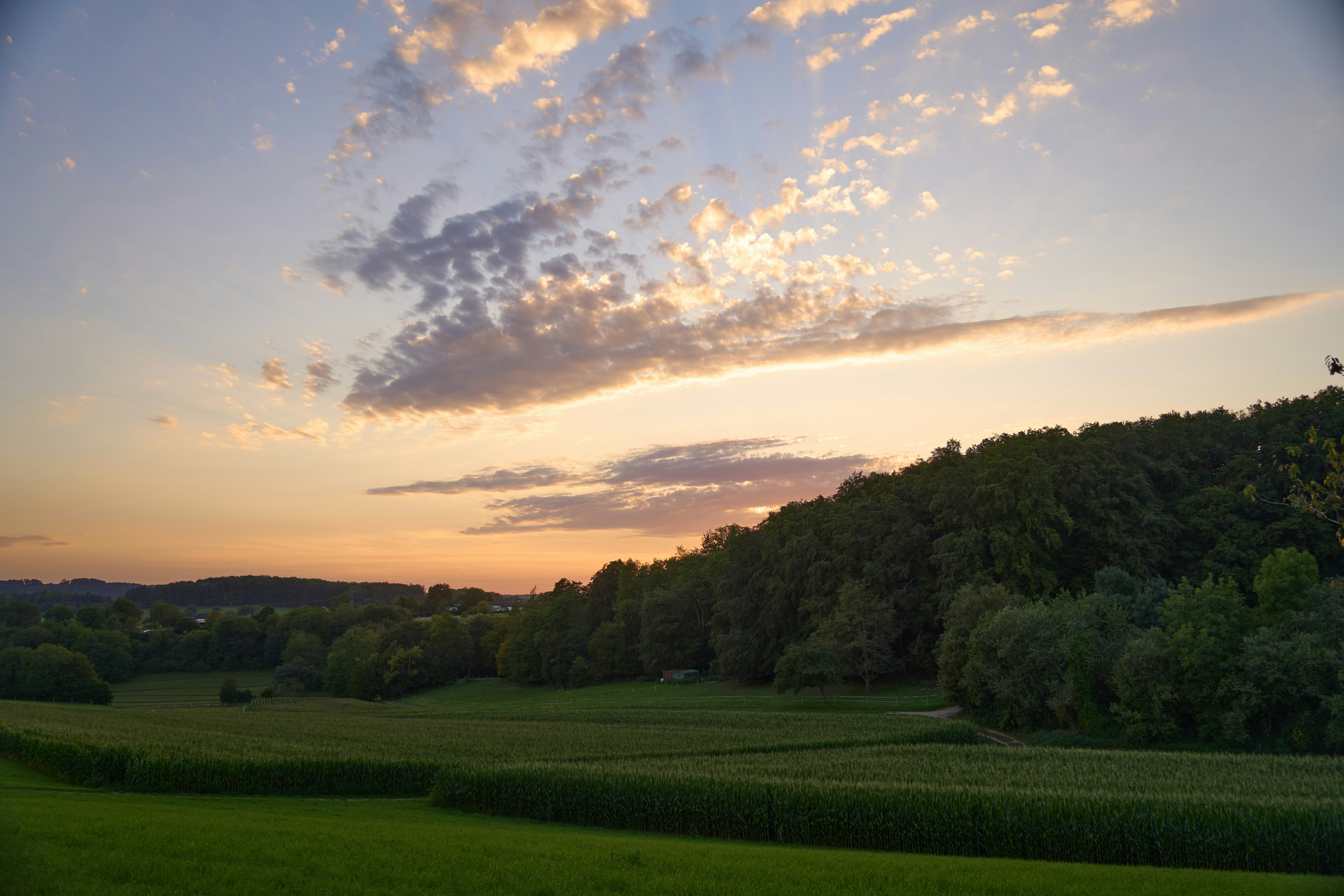 Photo by wolfgang_hasselmann