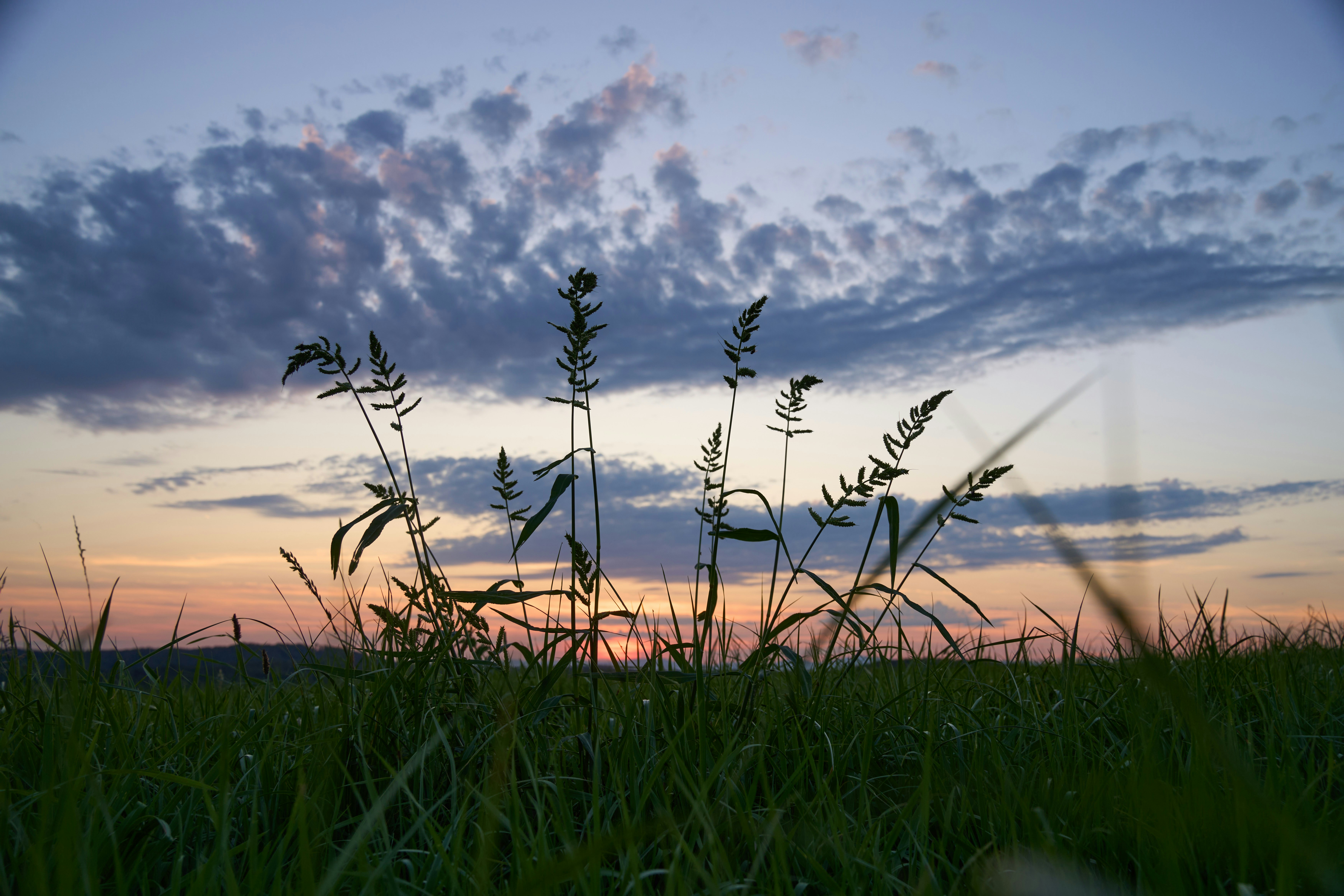 Photo by wolfgang_hasselmann