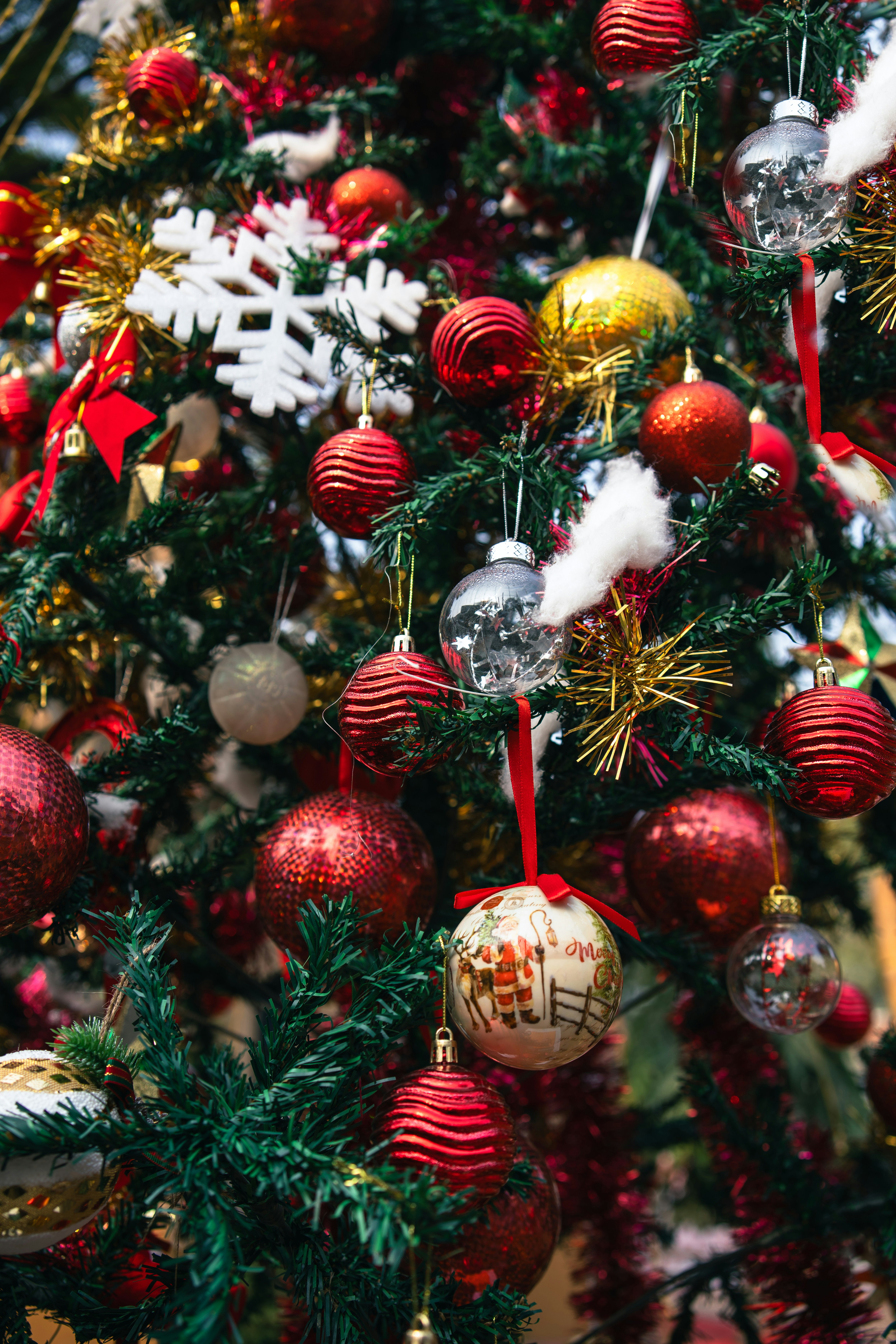 Photo by swastikarora