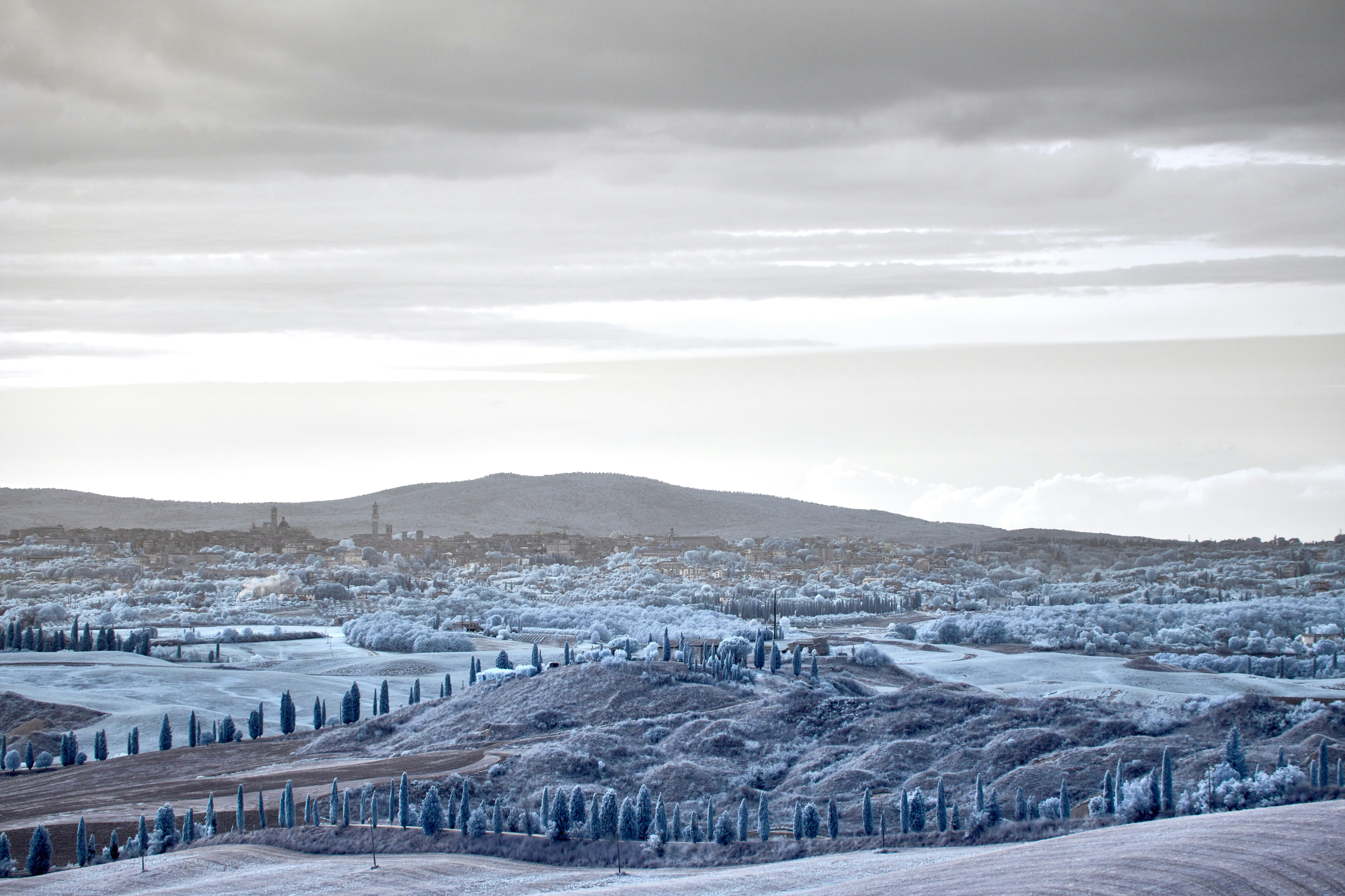 Photo by wolfgang_hasselmann