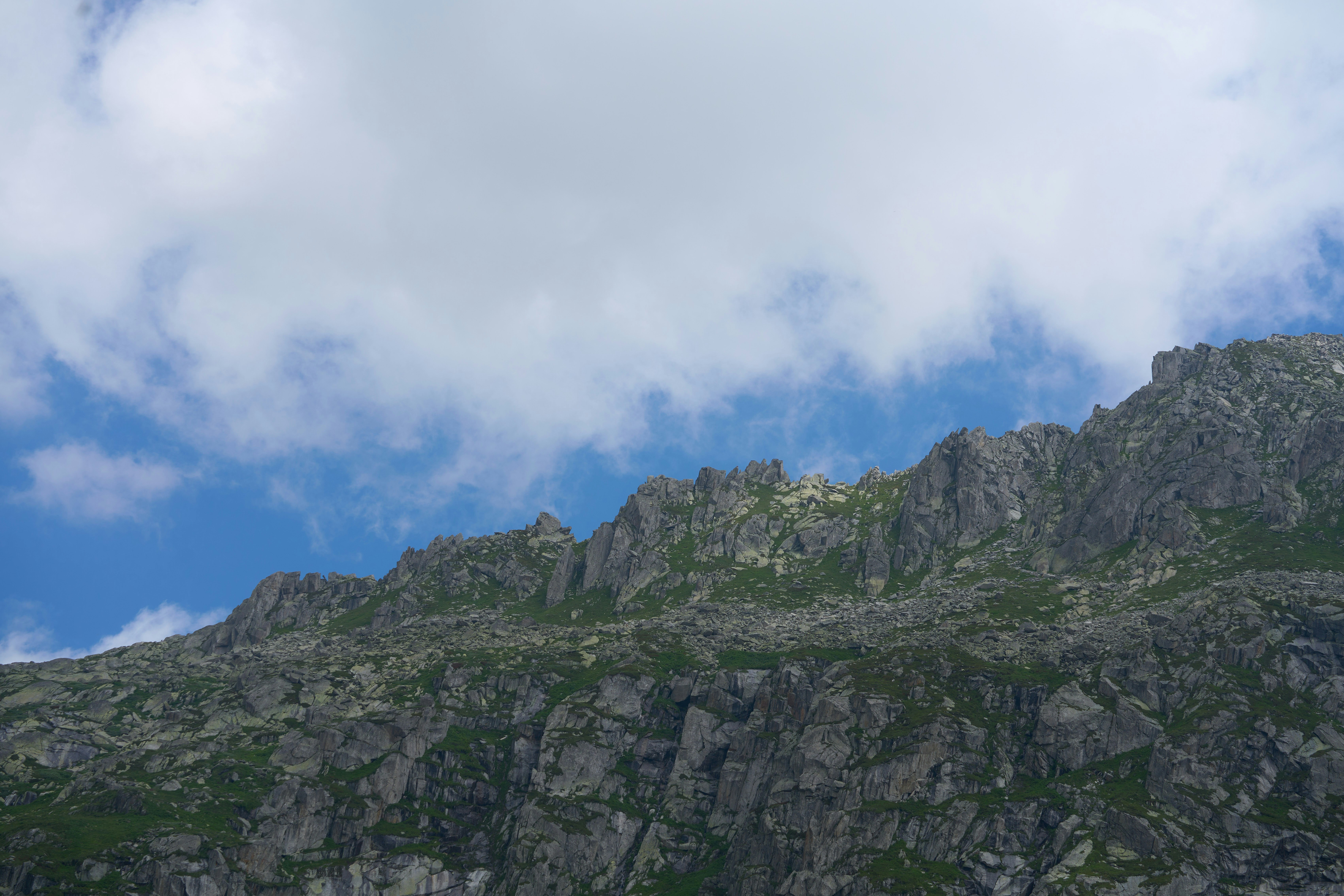 Photo by wolfgang_hasselmann