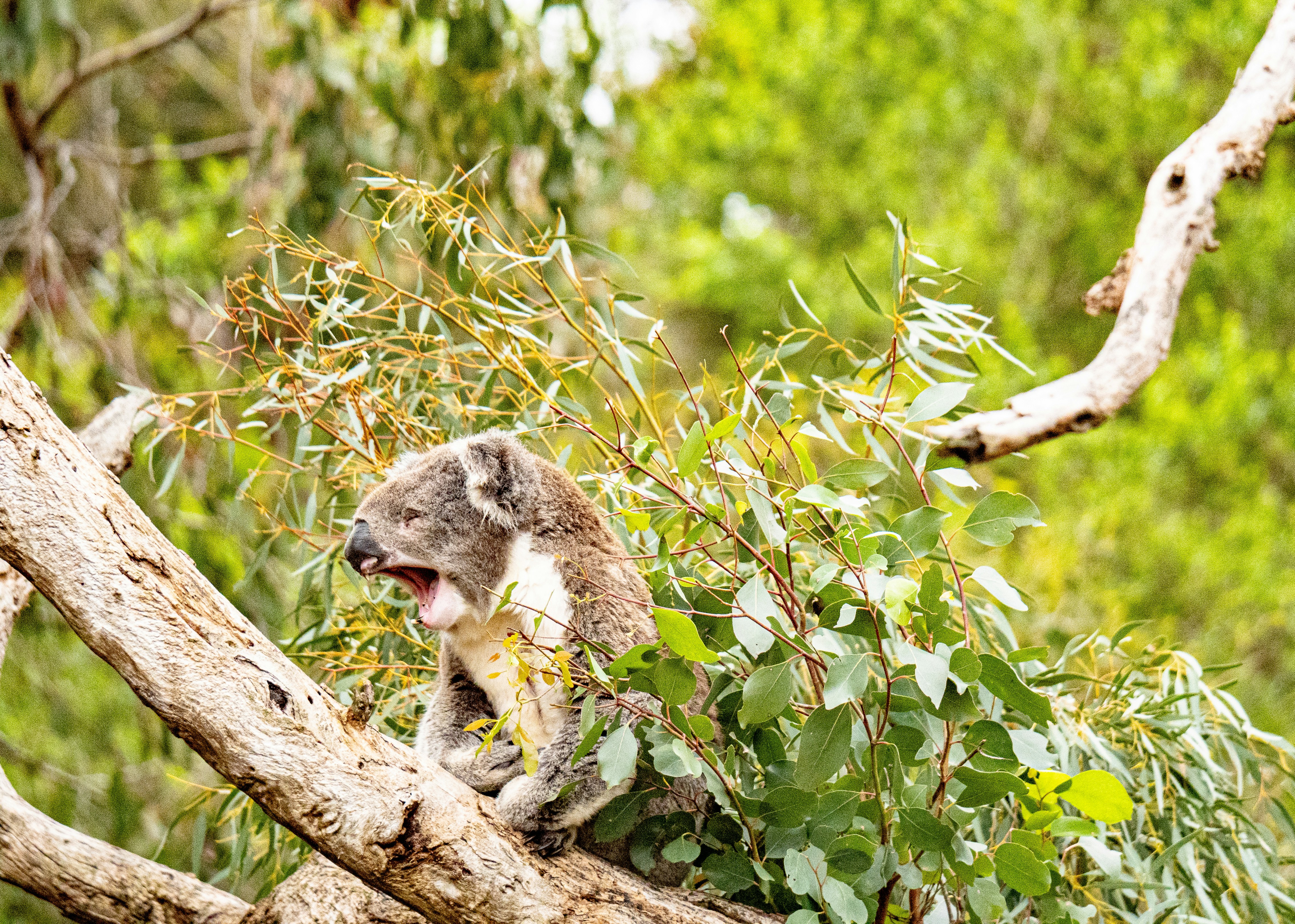 Photo by traces_du_monde