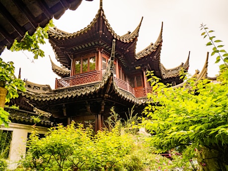 A building with a lot of plants around it