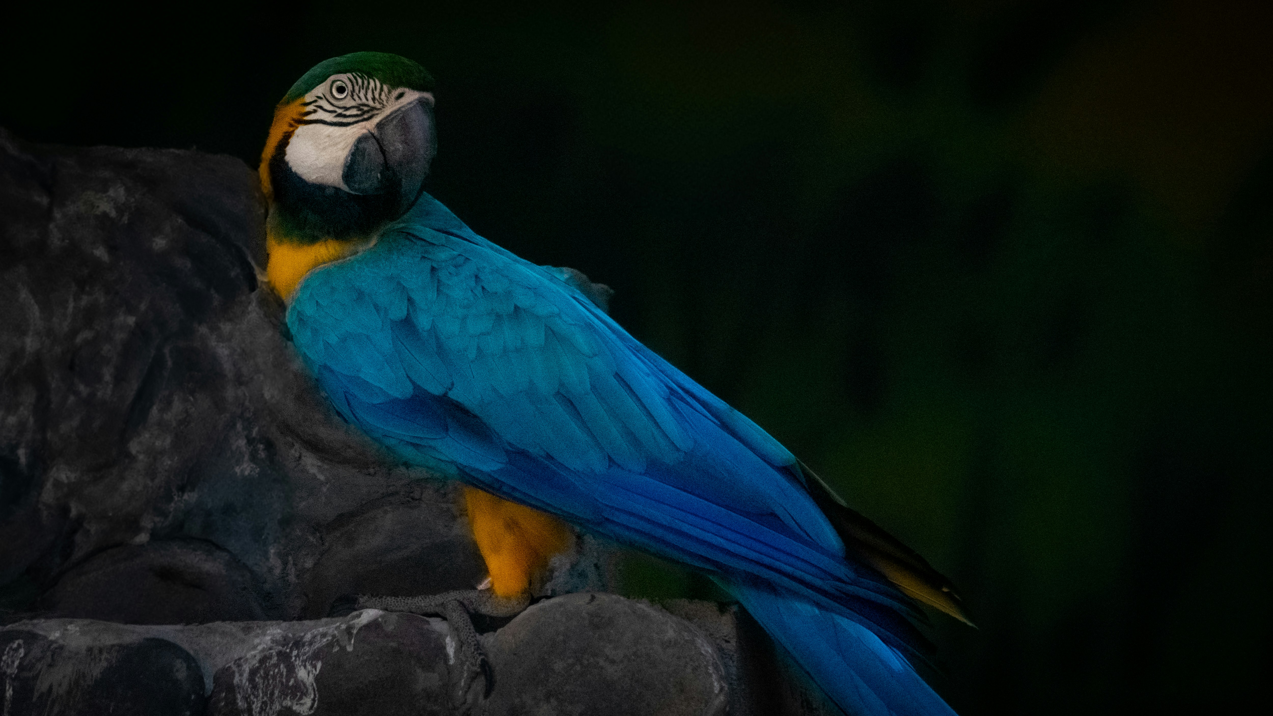 Photo by suryadoingstuff