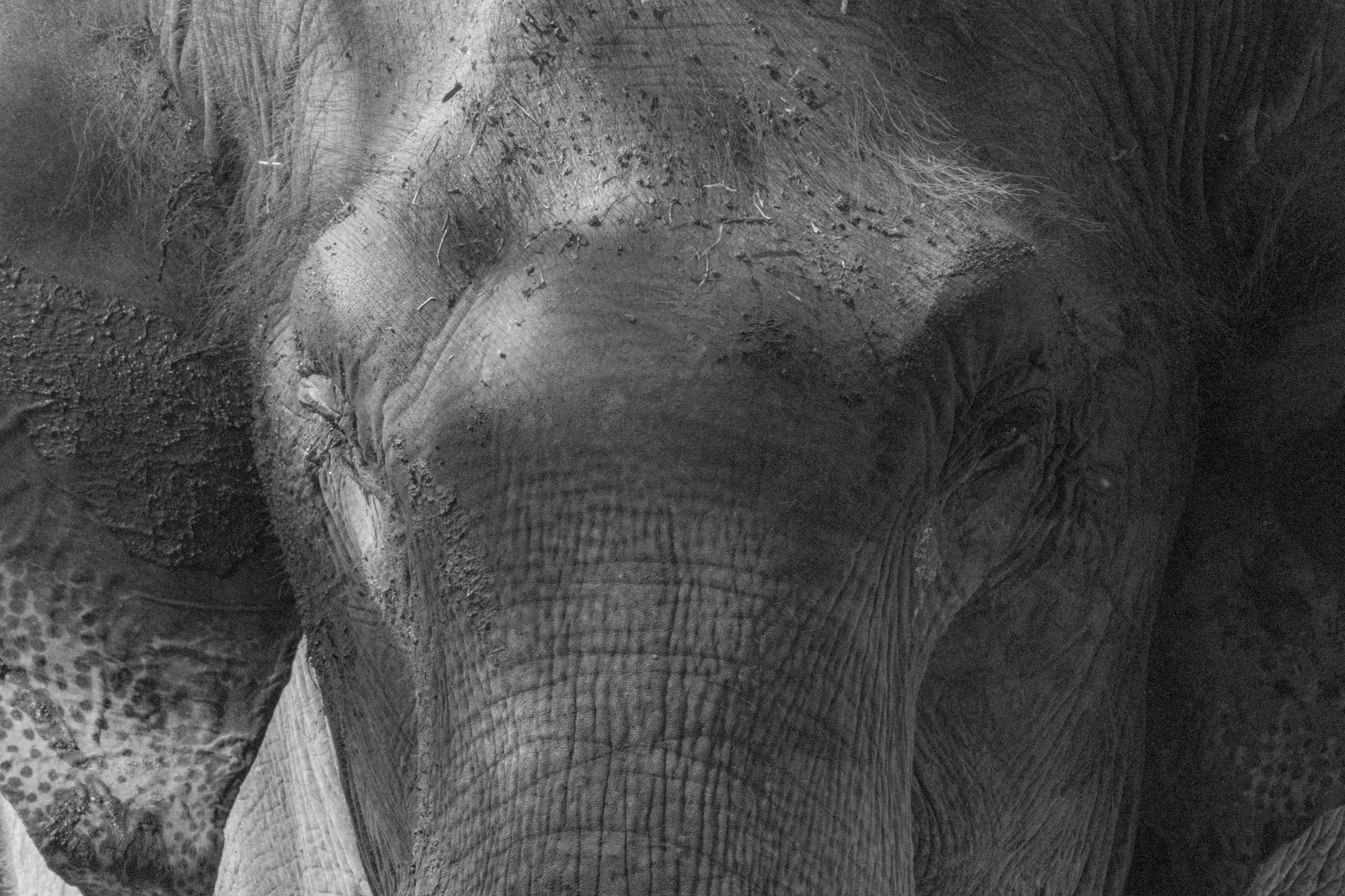 Photo by suryadoingstuff