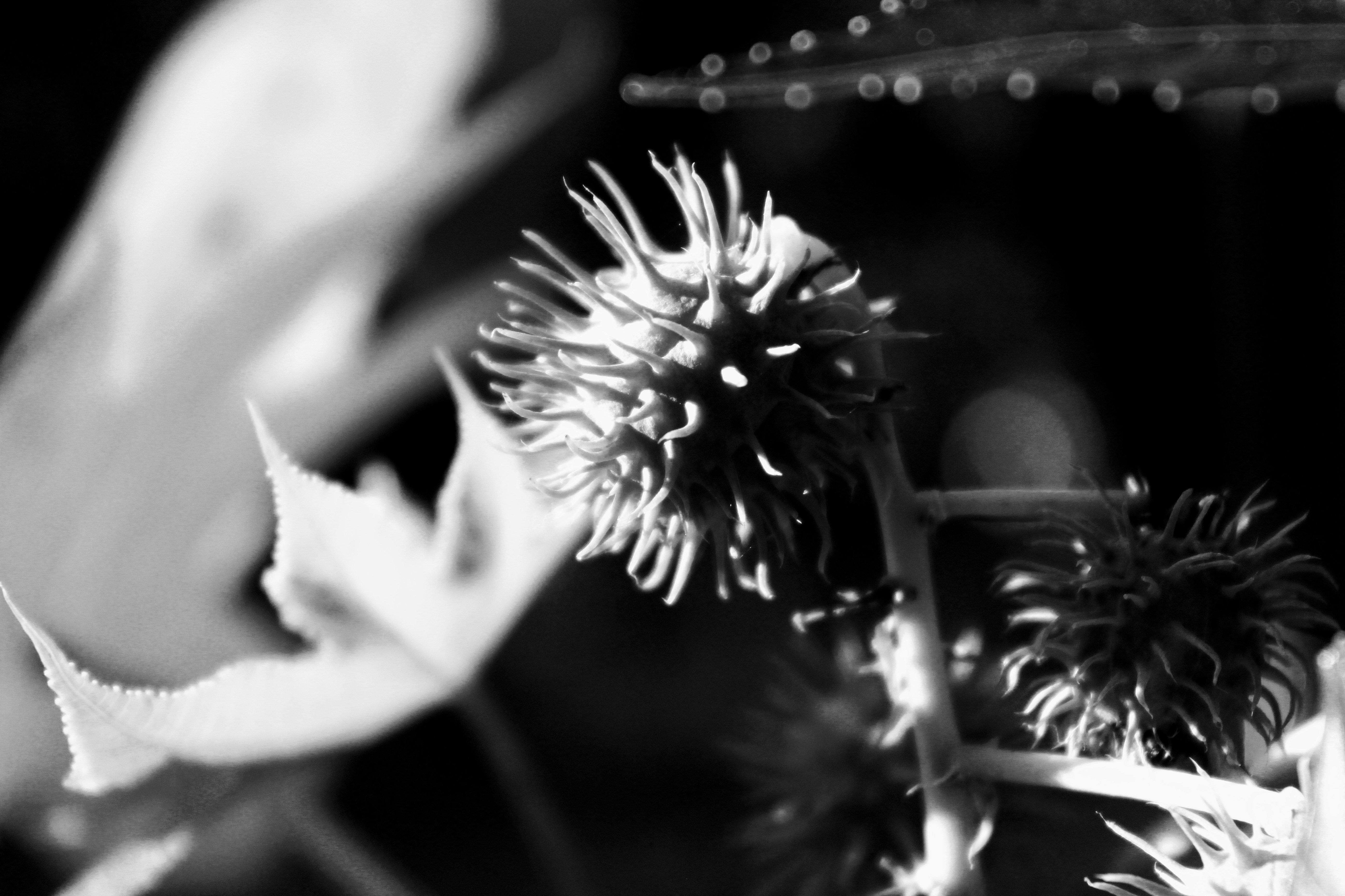 Photo by photogitthi