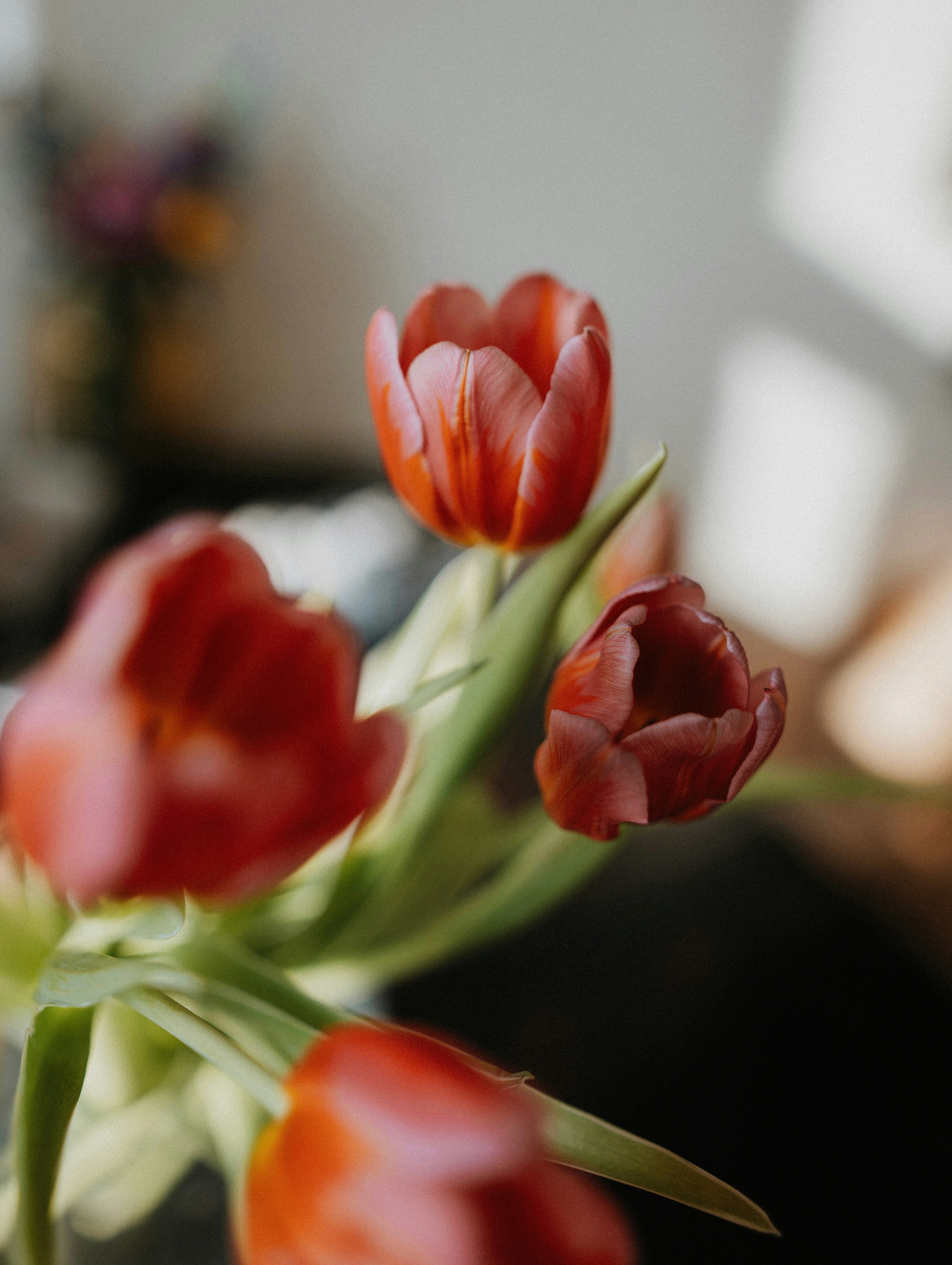 A vase filled with red flowers on top of a table