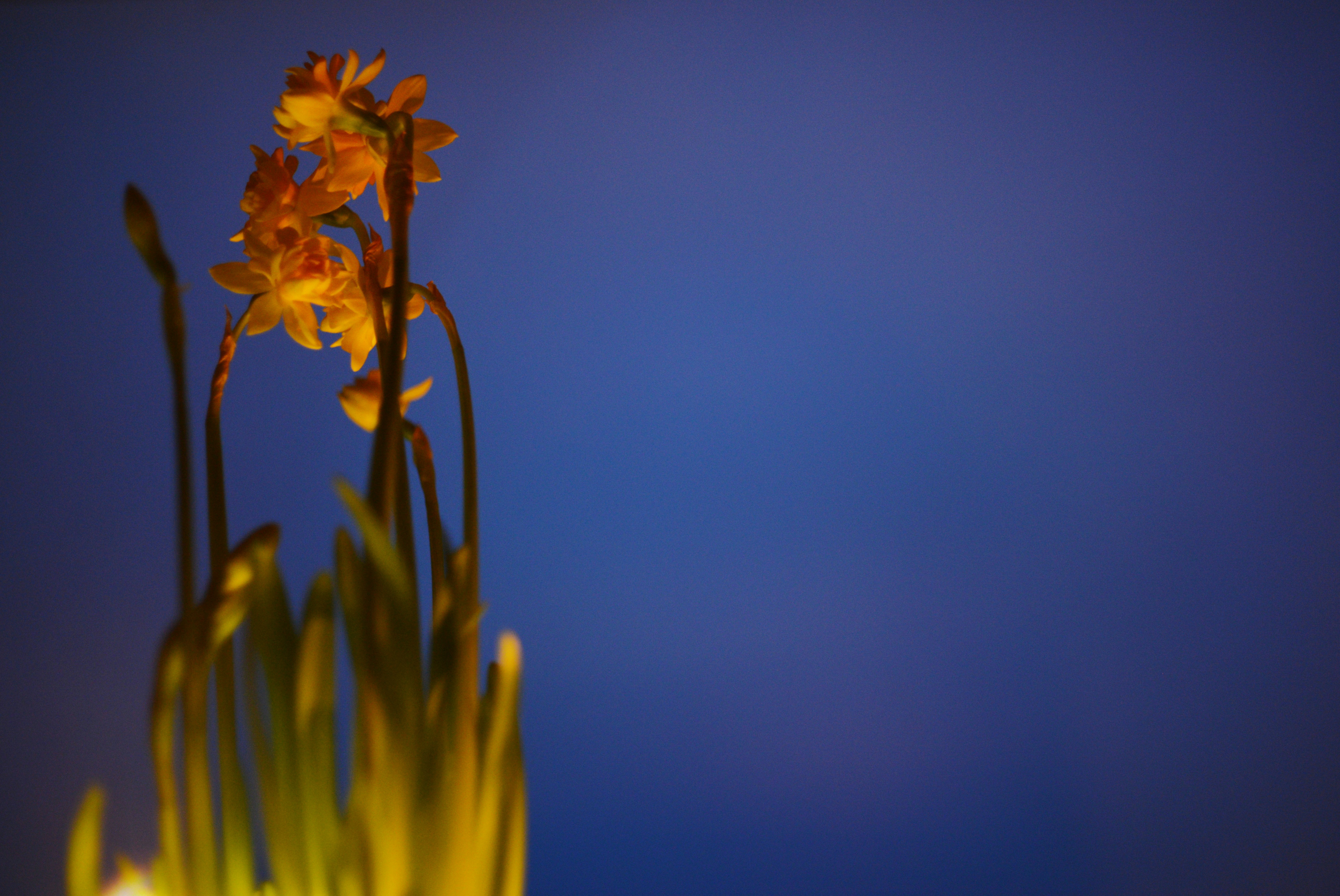 Photo by cherstve_pechivo