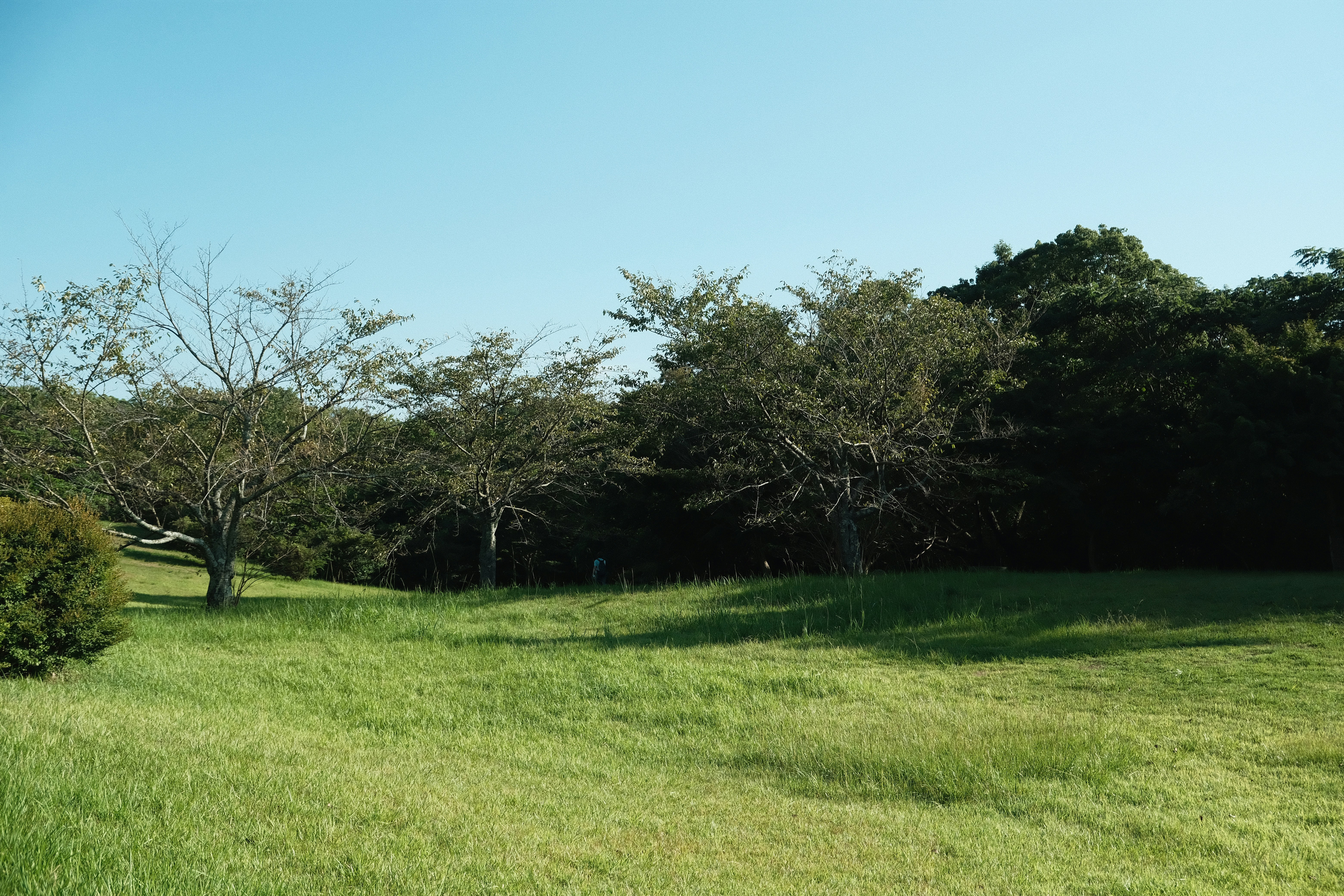 Photo by chanwei_snap