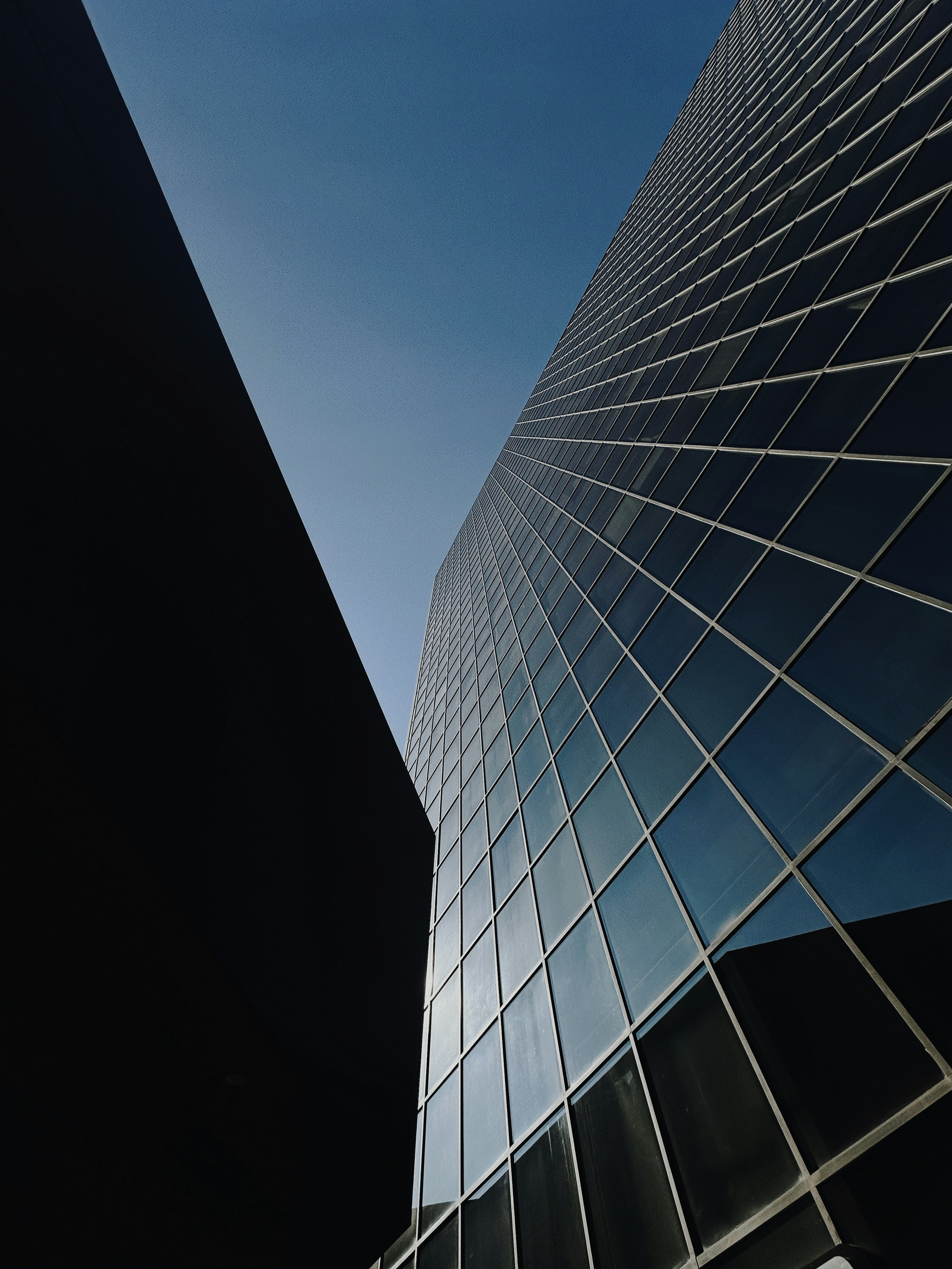 空を背景にした非常に高い建物