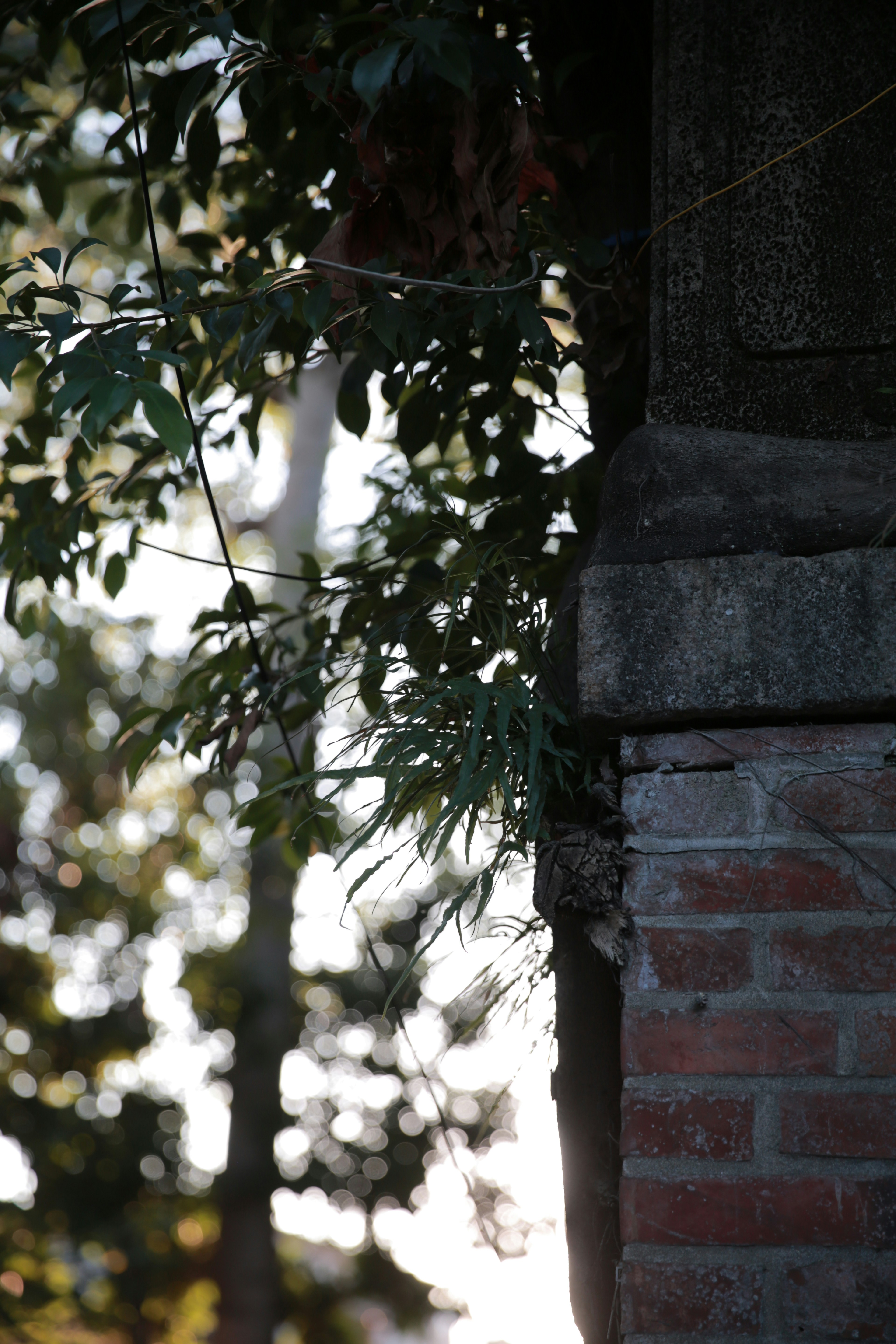 Photo by ivyyyyyyyyyyyyyyyyyyyyyyyyyyy1