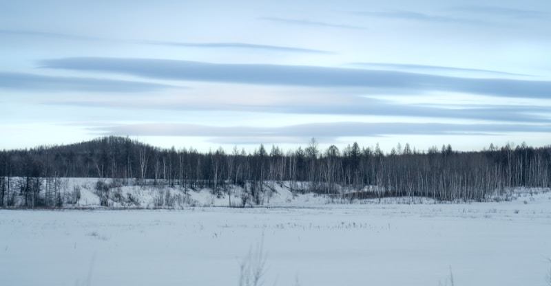 Genhe Cold Pole